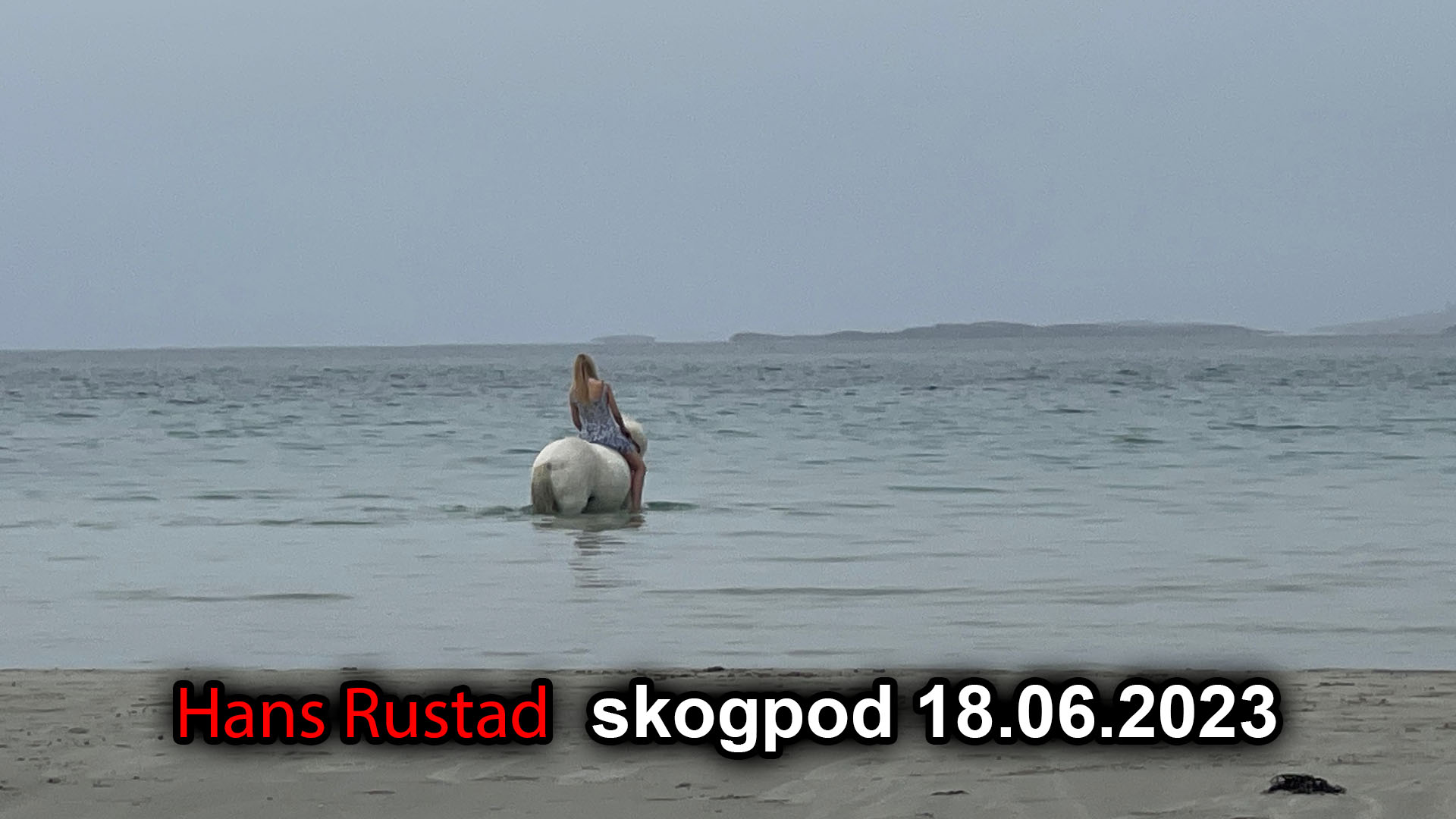 Skogpod 18. juni 2023&nbsp;<span>(+)</span>