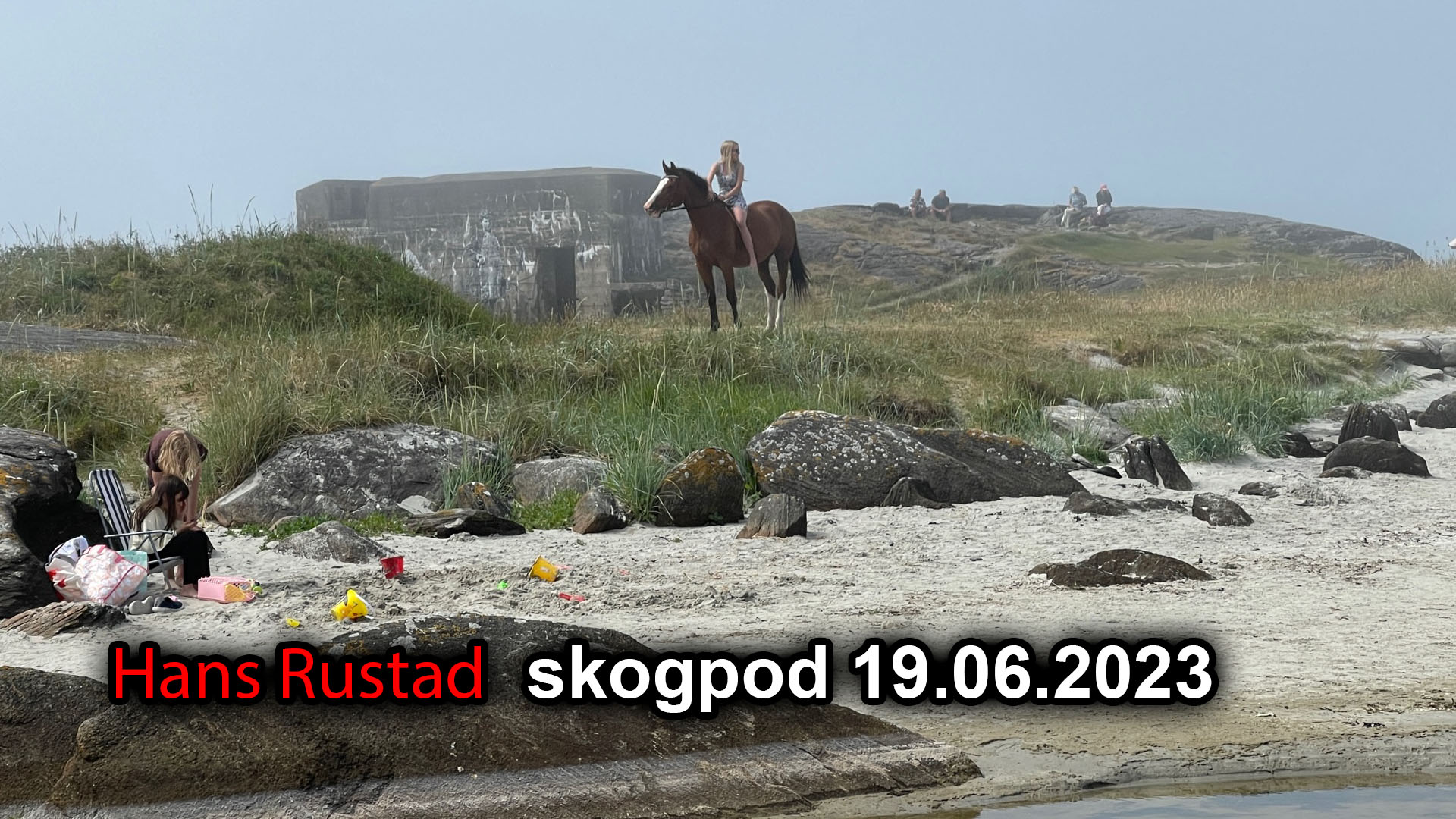 Skogpod 19. juni 2023&nbsp;<span>(+)</span>