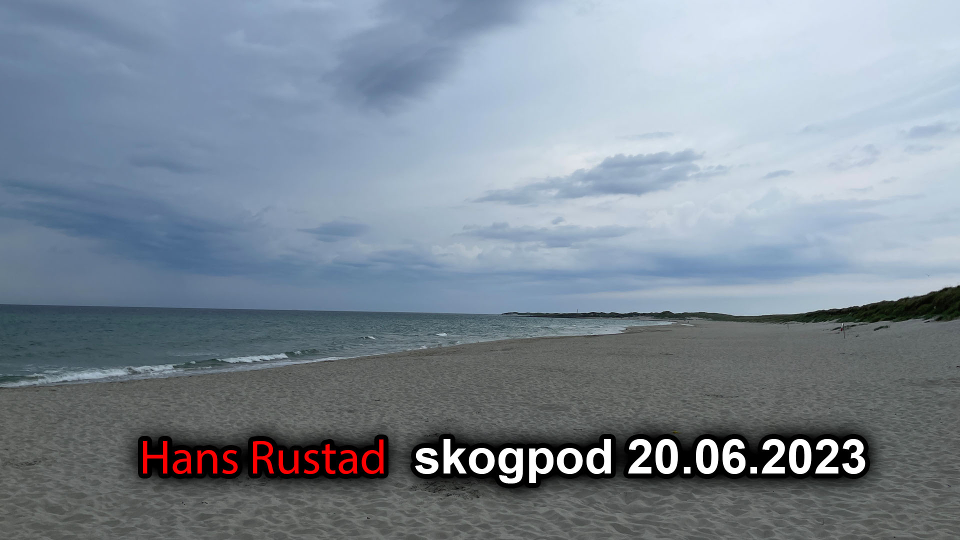 Skogpod 20. juni 2023&nbsp;<span>(+)</span>
