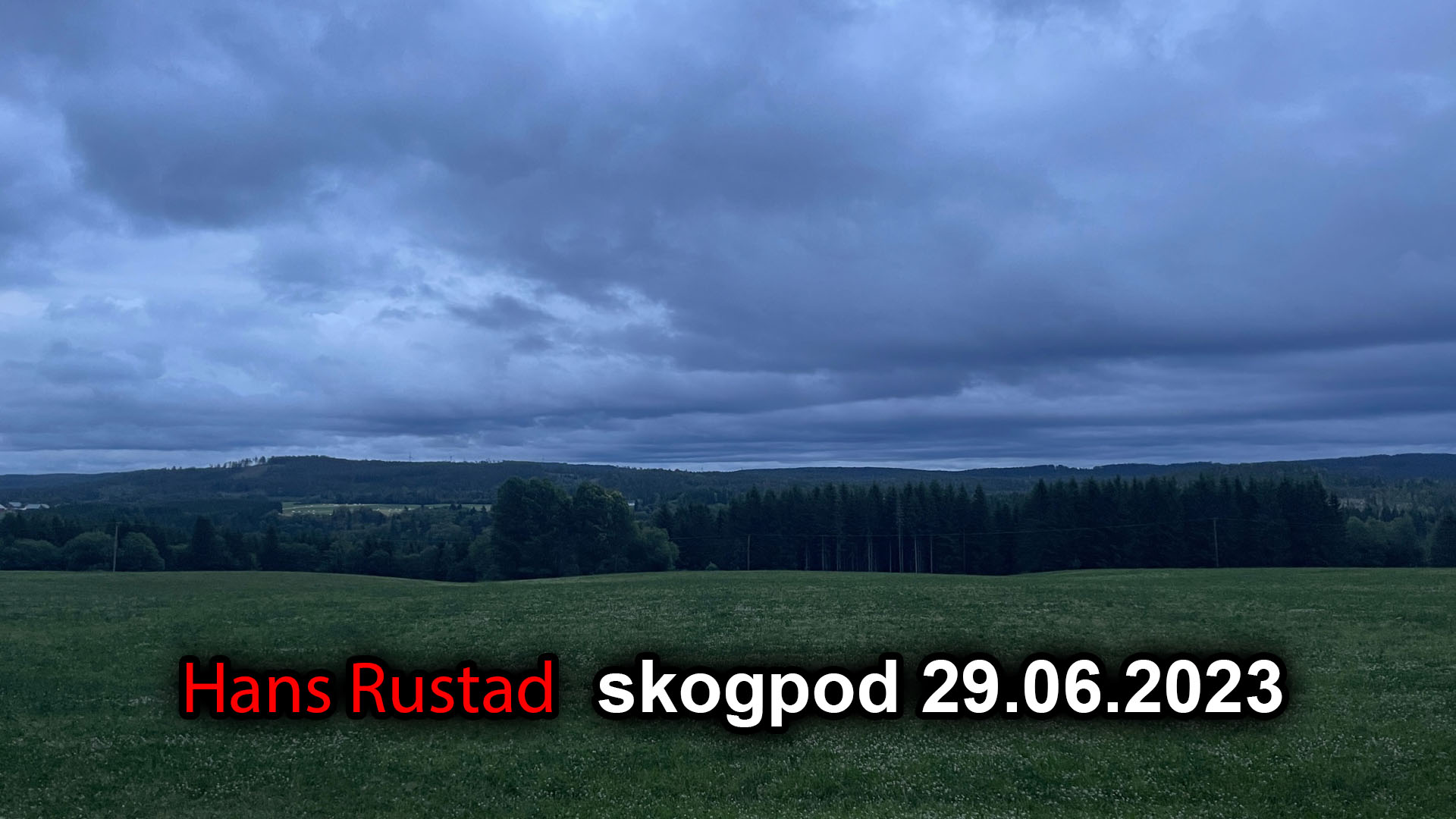 Skogpod 29. juni 2023&nbsp;<span>(+)</span>