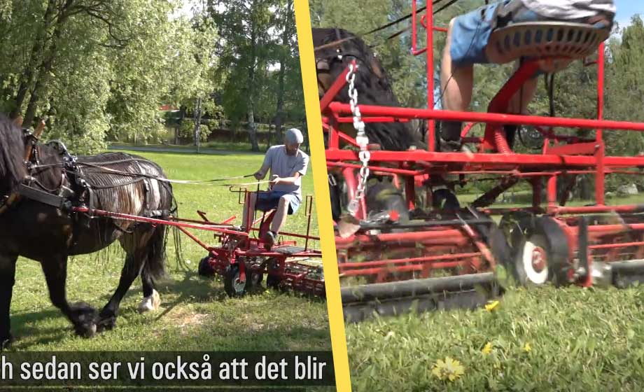 Svensk kommune vil redde verden: Bruker hest til å klippe plenen&nbsp;<span>(+)</span>