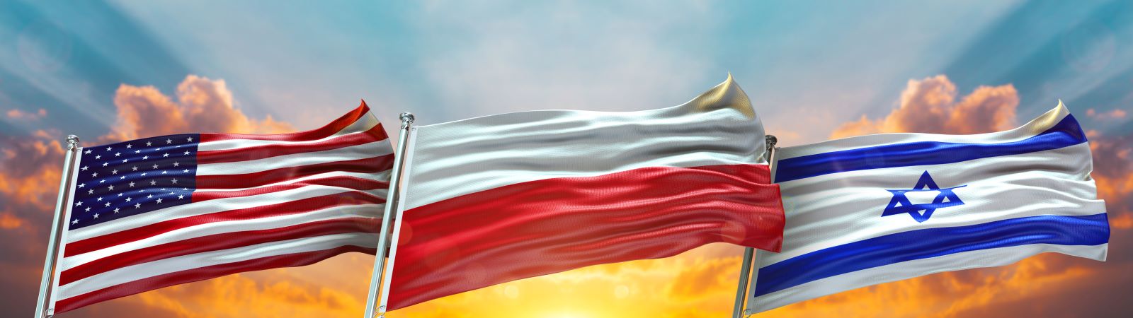 Stor studie: Polen er landet som er mest positiv til USA – Ungarn er mest negativ&nbsp;<span>(+)</span>