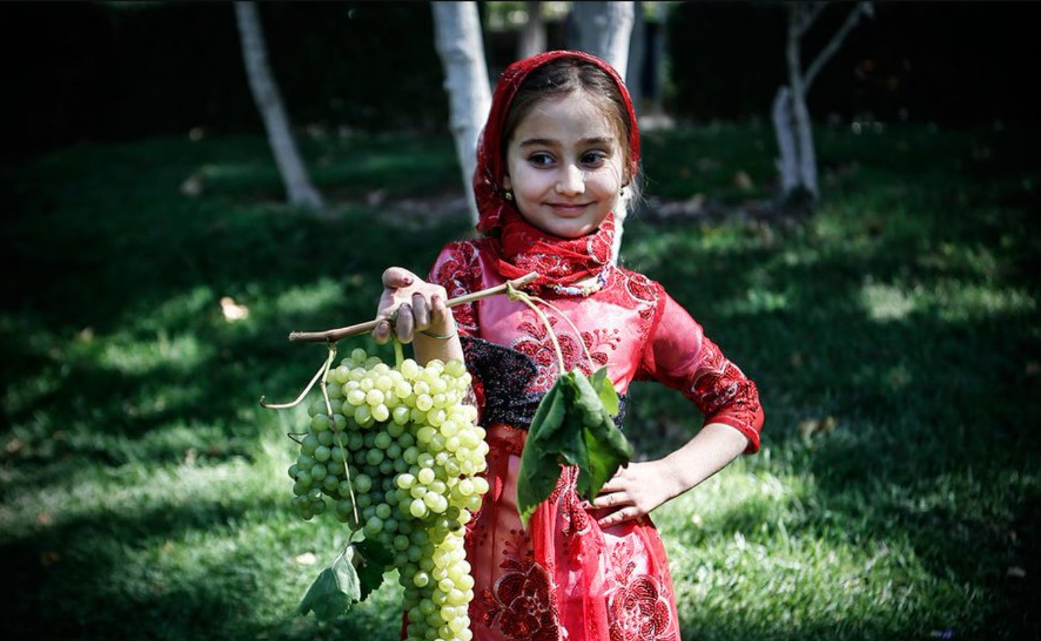 Iran forbyr salg av druesaft&nbsp;<span>(+)</span>