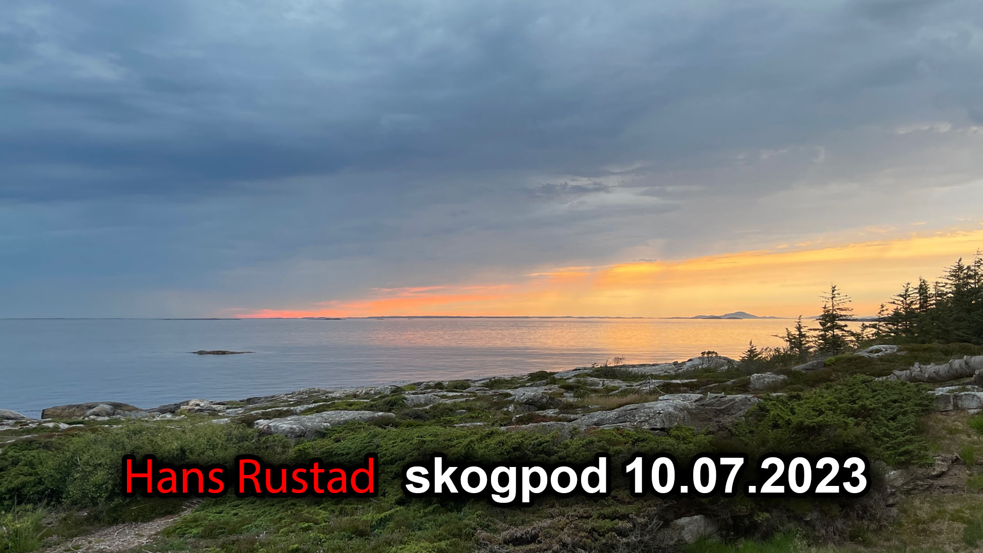Skogpod 10. juli 2023: Dagsrevyen-segmentet&nbsp;<span>(+)</span>