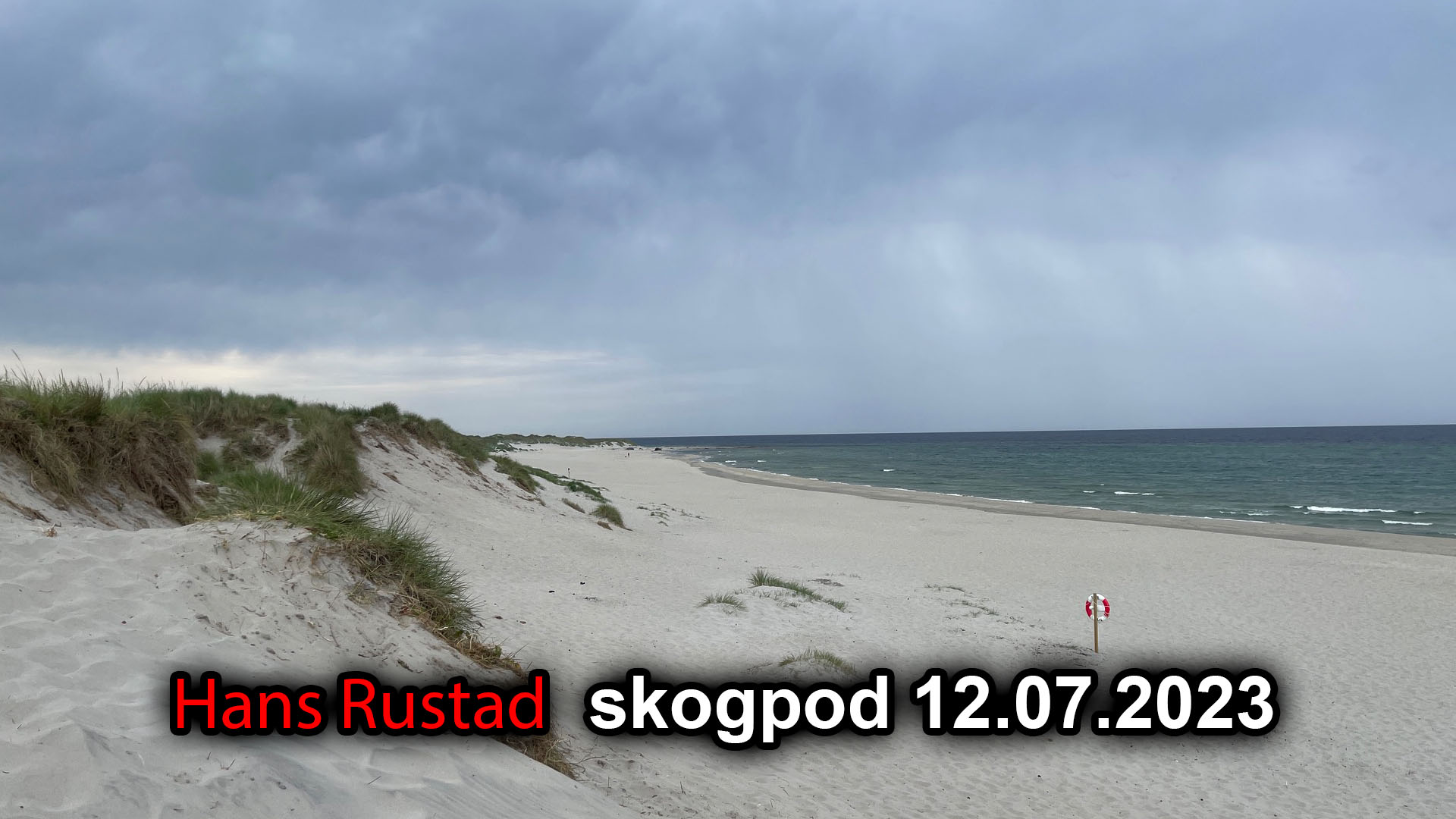 Skogpod 12. juli 2023: Morgenstund har gull i munn&nbsp;<span>(+)</span>