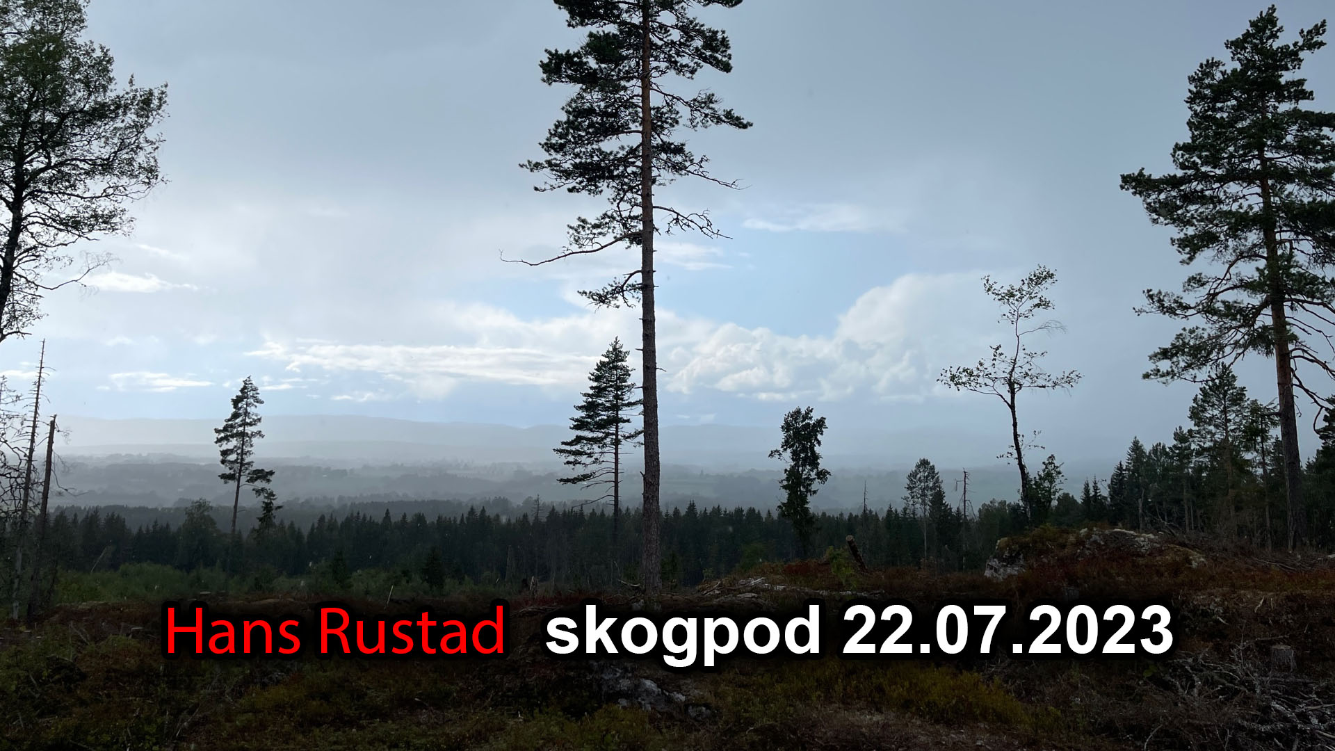 Skogpod 22. juli 2023&nbsp;<span>(+)</span>
