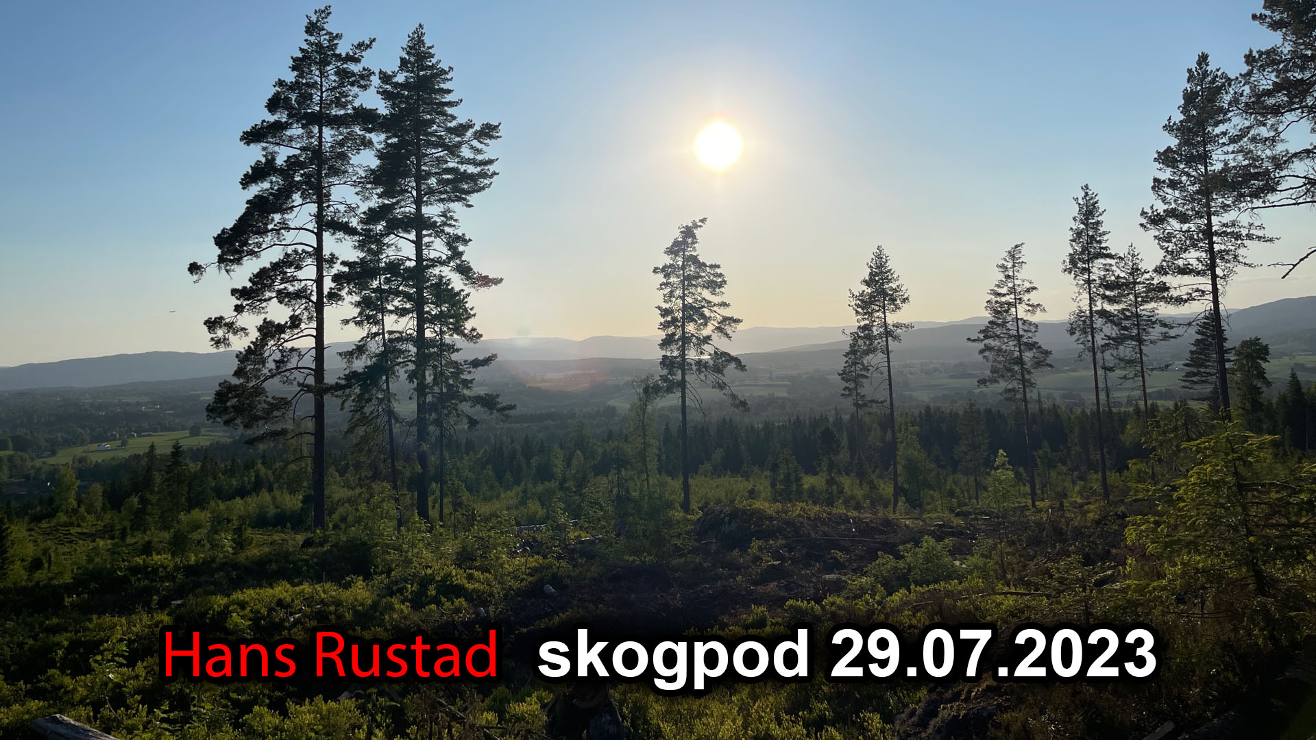 Skogpod 29. juli 2023: Ingenting er som før&nbsp;<span>(+)</span>