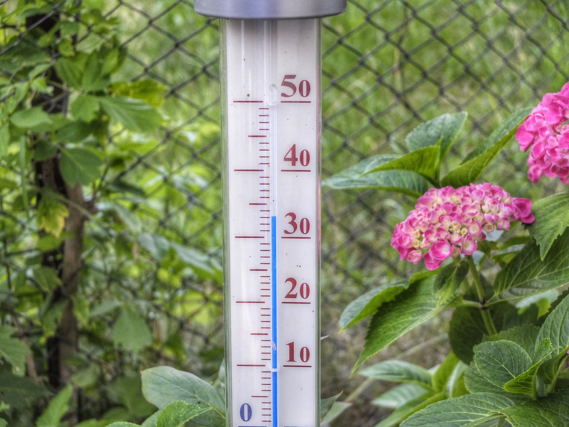 Ny studie hevder varmen i Europa sist sommer krevde over 60.000 liv&nbsp;<span>(+)</span>
