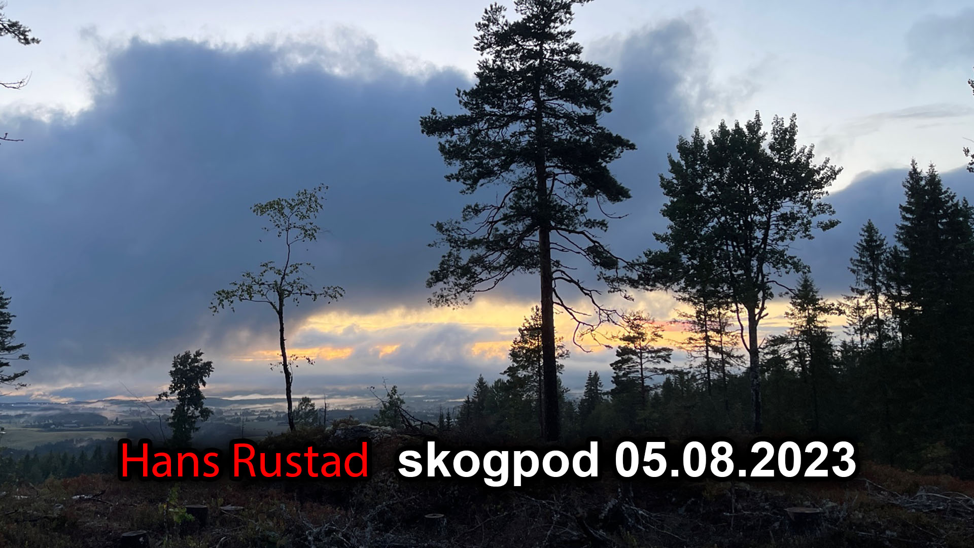 Skogpod 05. august 2023&nbsp;<span>(+)</span>