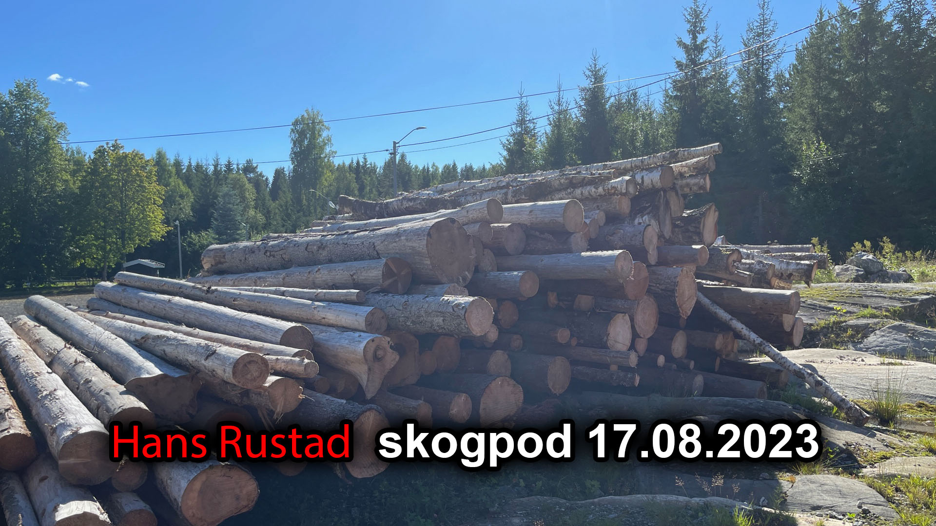 Skogpod 17. august 2023&nbsp;<span>(+)</span>
