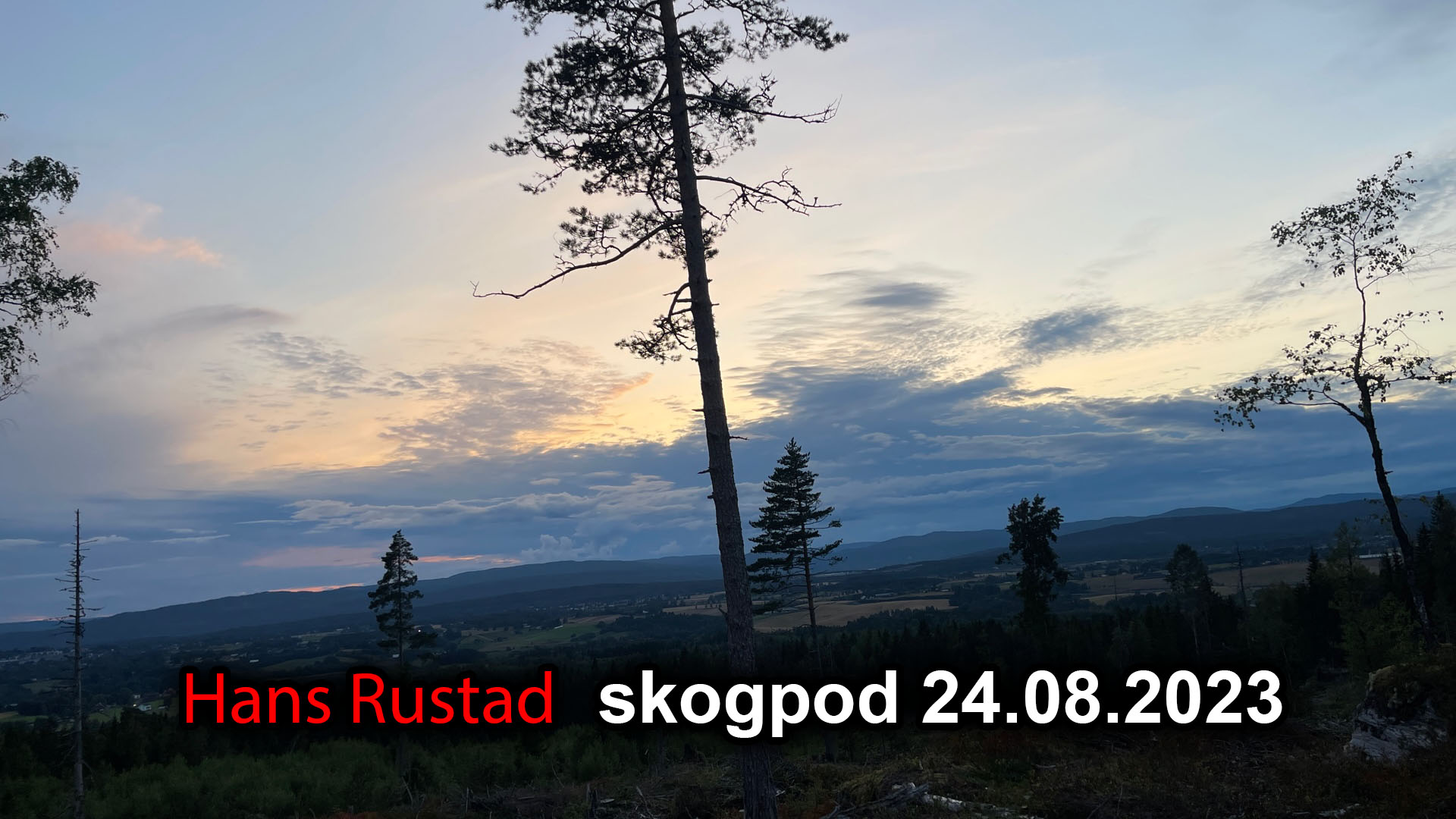 Skogpod 24. august 2023&nbsp;<span>(+)</span>