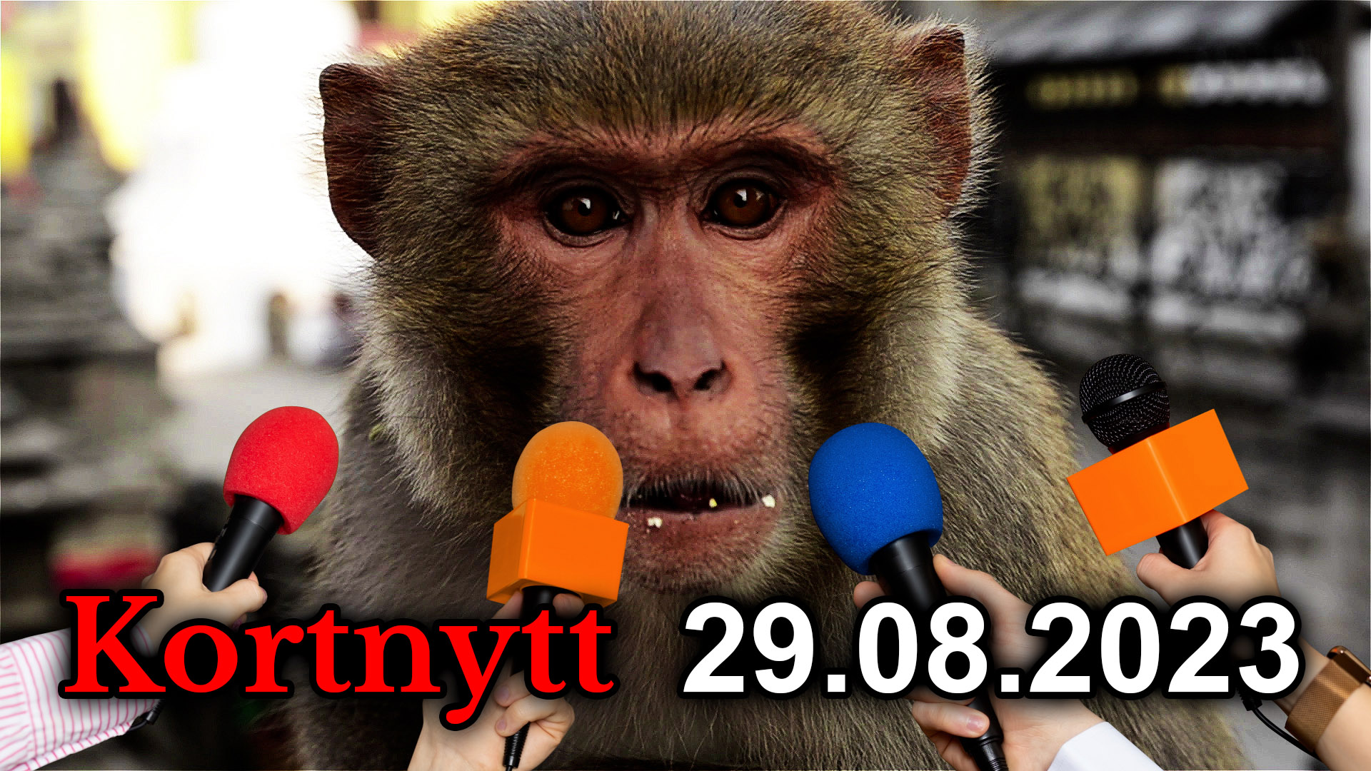 Kortnytt fra Document — 29.08.2023&nbsp;<span>(+)</span>