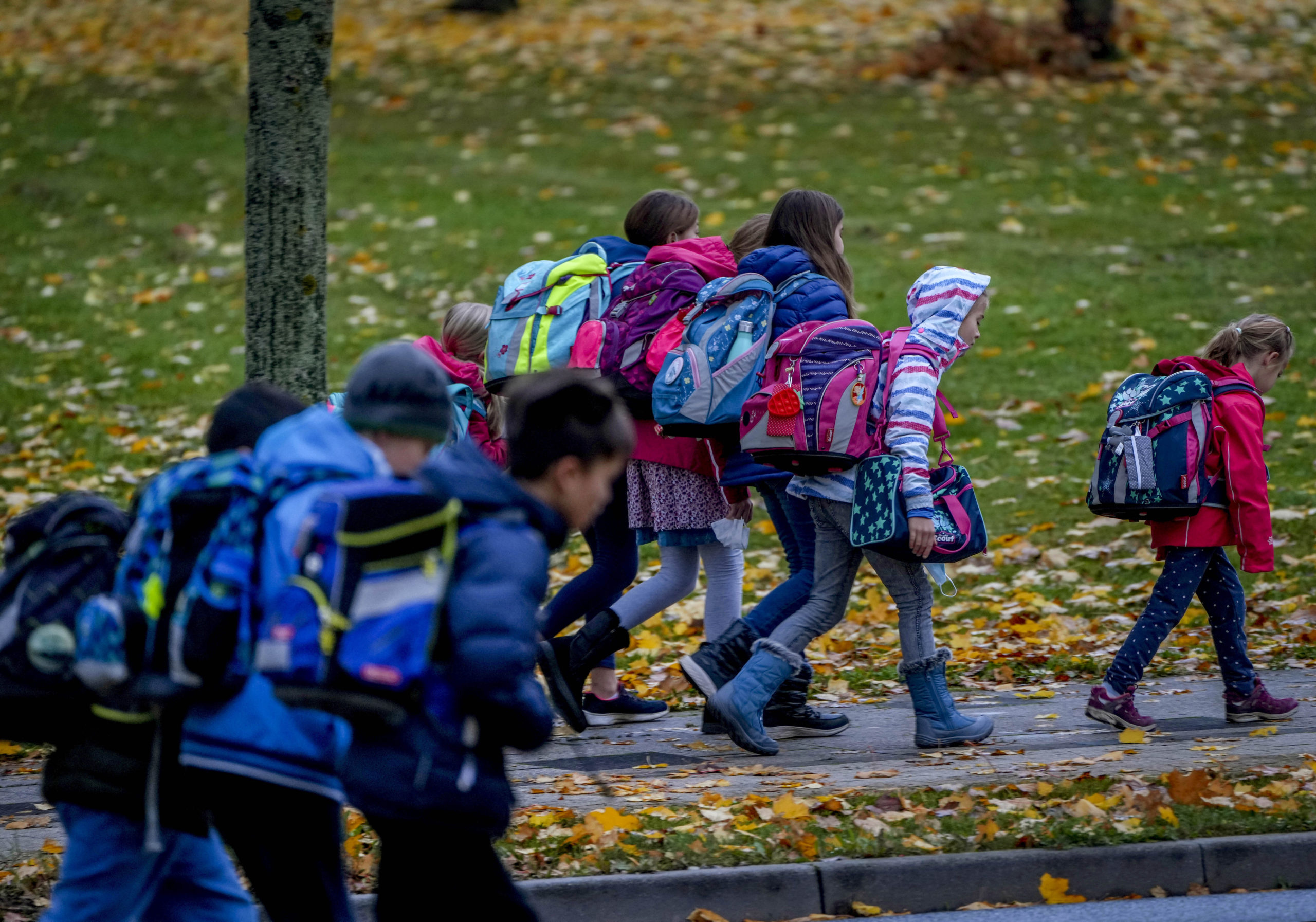 Tyskland med radikal kjønnsteori i barnehager og skoler&nbsp;<span>(+)</span>
