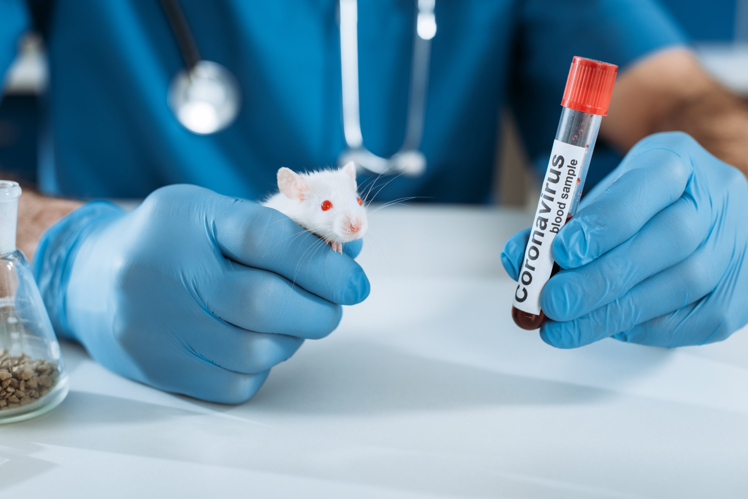 Covid-19, HIV, hepatitt, malaria og herpes funnet i ulovlig kinesisk laboratorium i California&nbsp;<span>(+)</span>