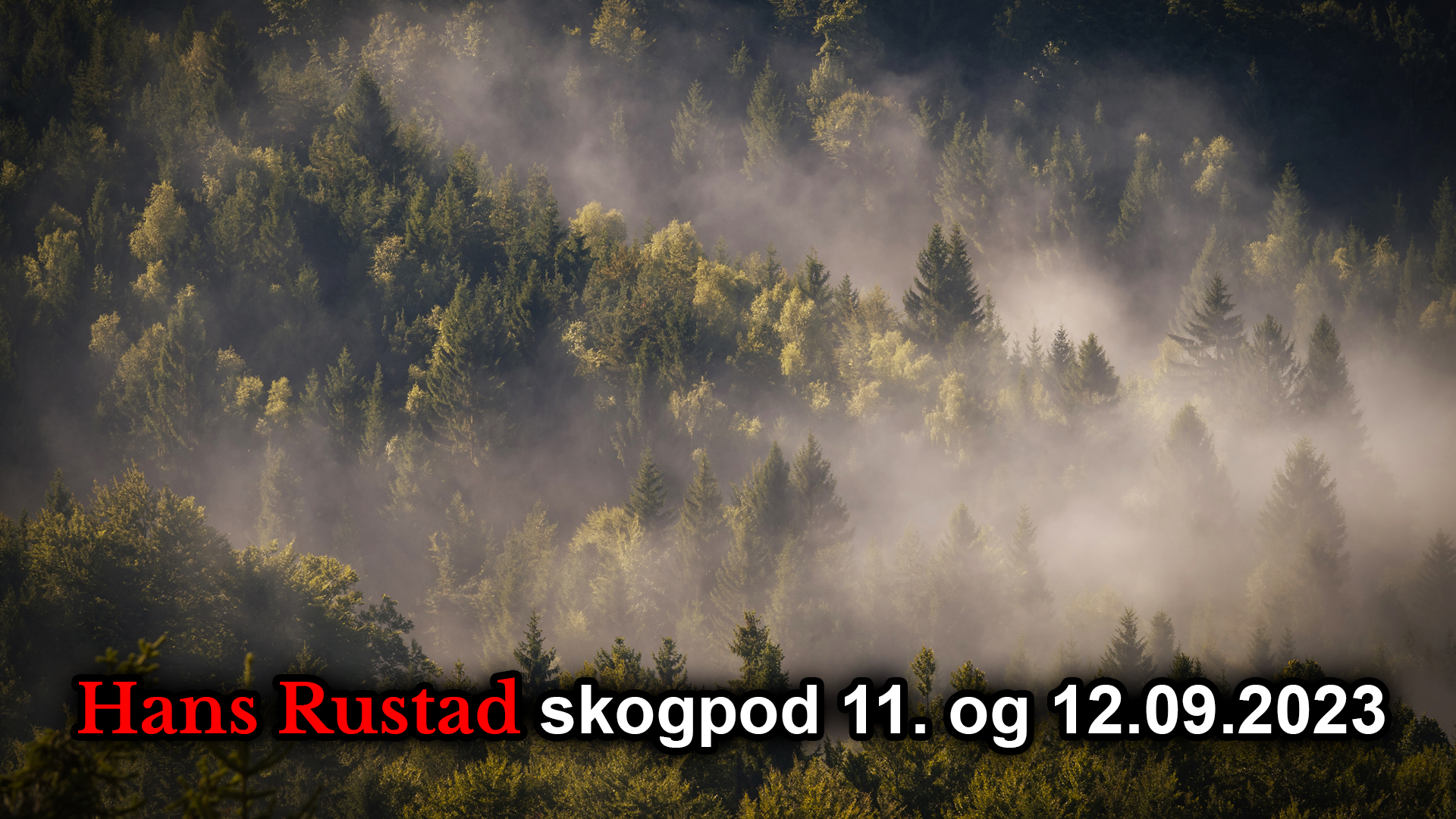 Skogpod 11. og 12. september 2023&nbsp;<span>(+)</span>