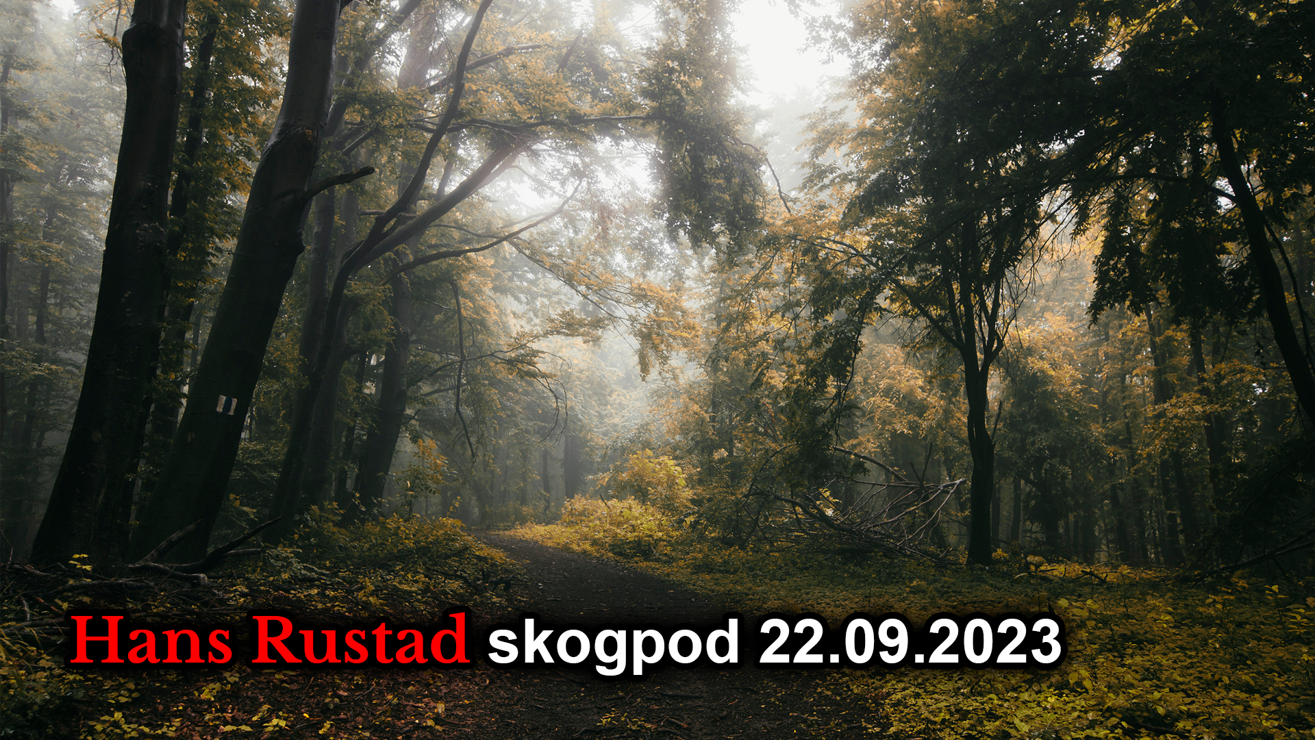Skogpod 22. september 2023&nbsp;<span>(+)</span>