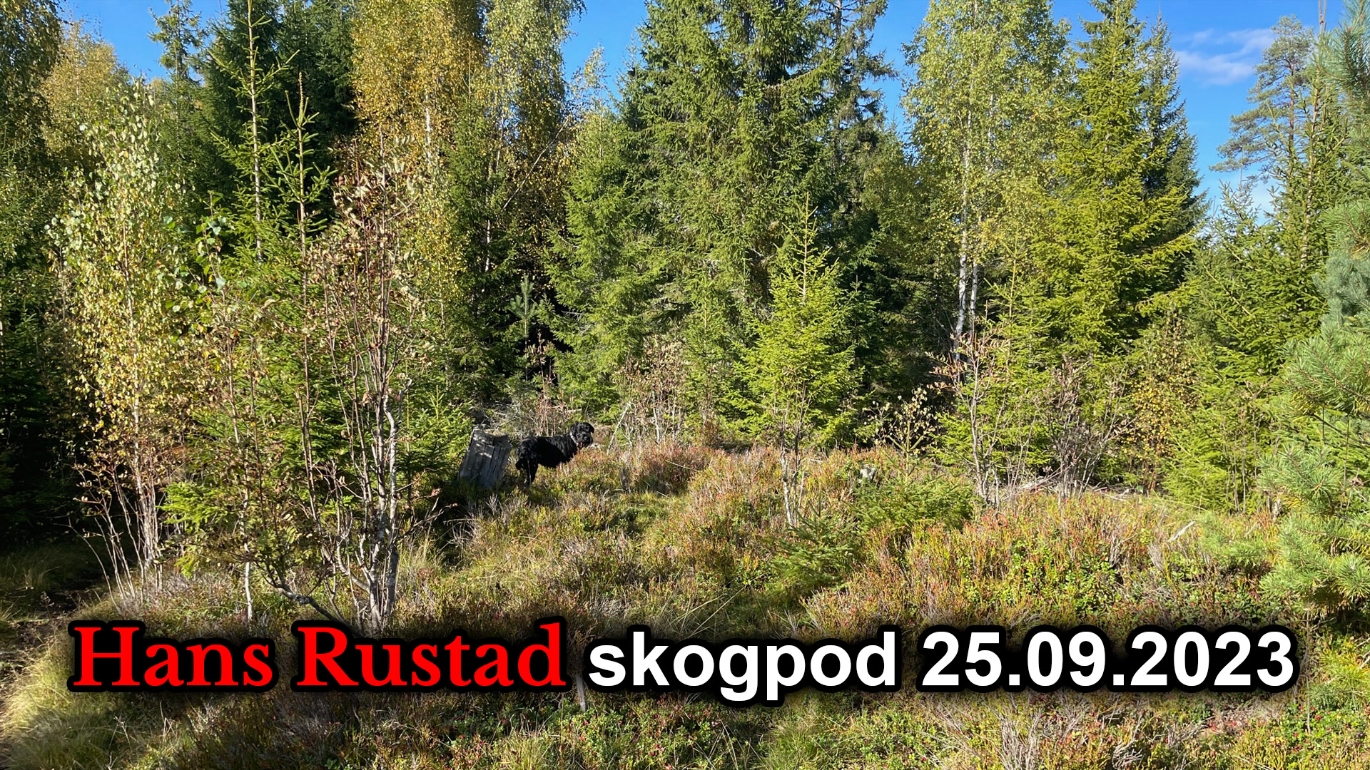 Skogpod 25. september 2023&nbsp;<span>(+)</span>