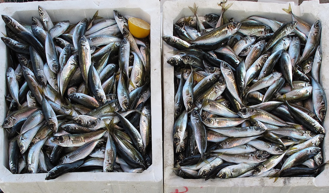 Norge kjemper for at EU dropper toll på norsk fisk&nbsp;<span>(+)</span>