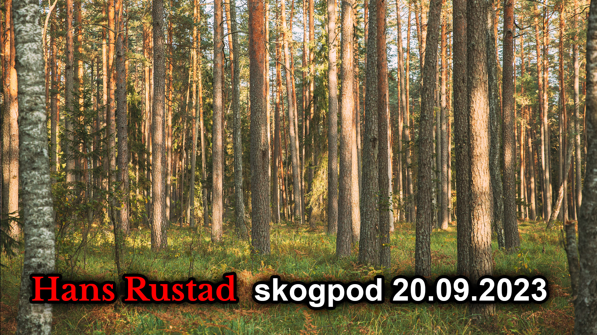 Skogpod 20. september 2023&nbsp;<span>(+)</span>