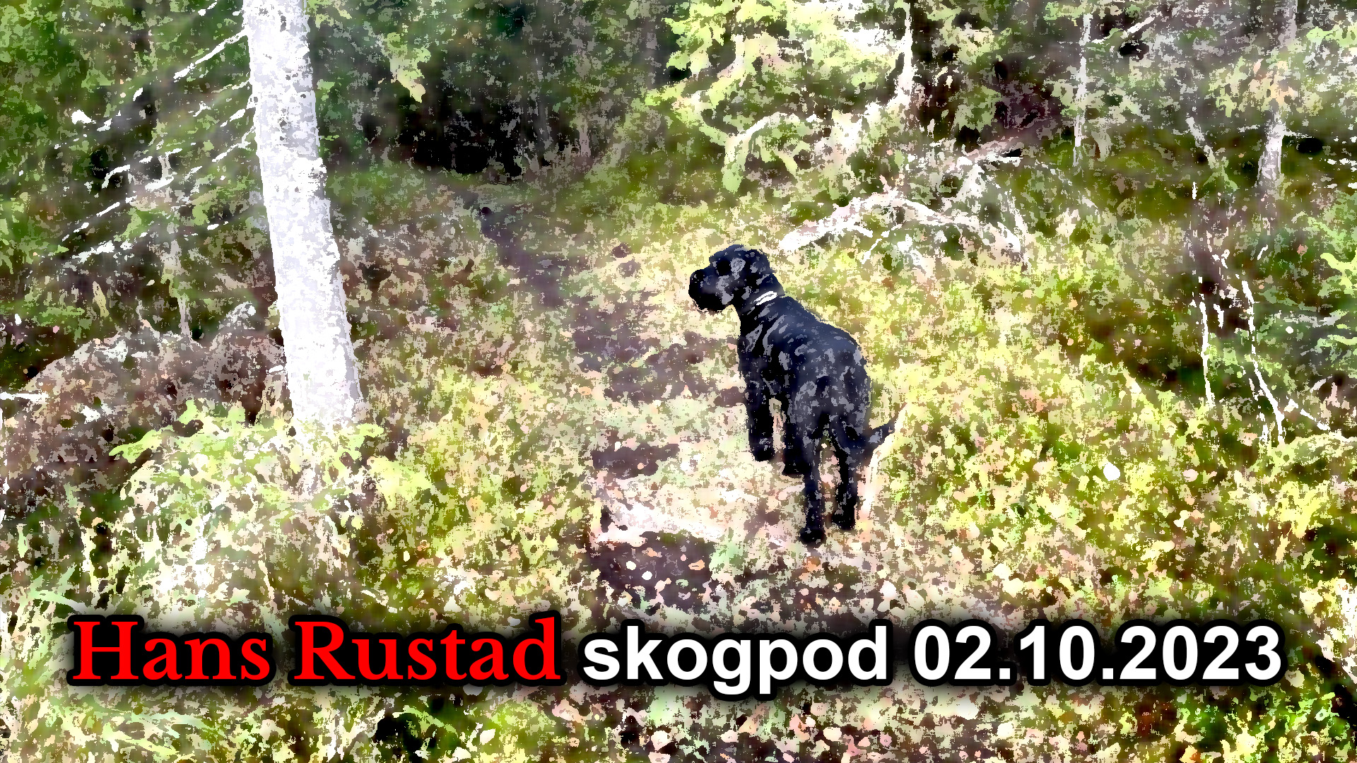 Skogpod 2. oktober 2023&nbsp;<span>(+)</span>