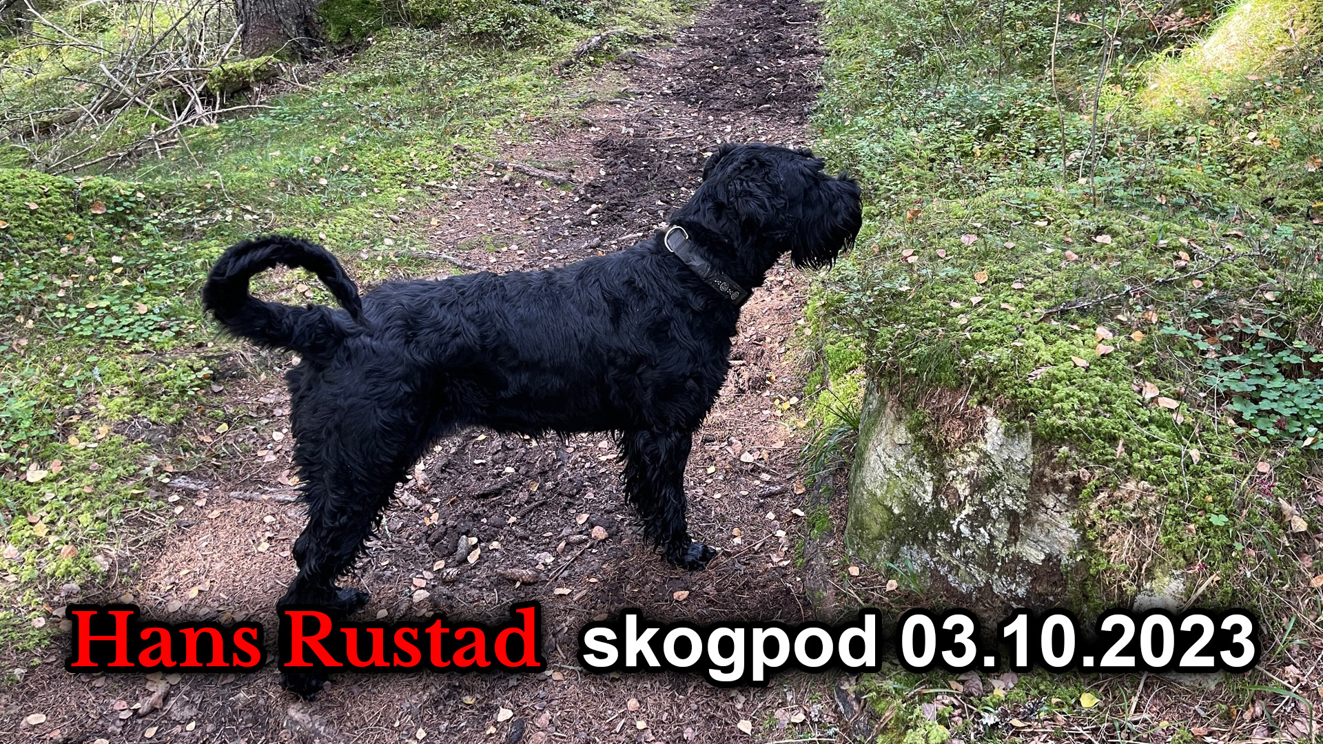 Skogpod 3. oktober 2023&nbsp;<span>(+)</span>