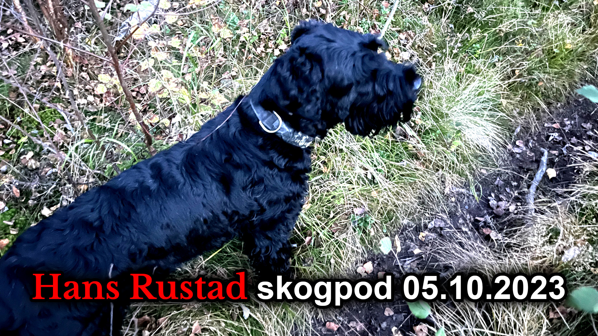 Skogpod 5. oktober 2023&nbsp;<span>(+)</span>