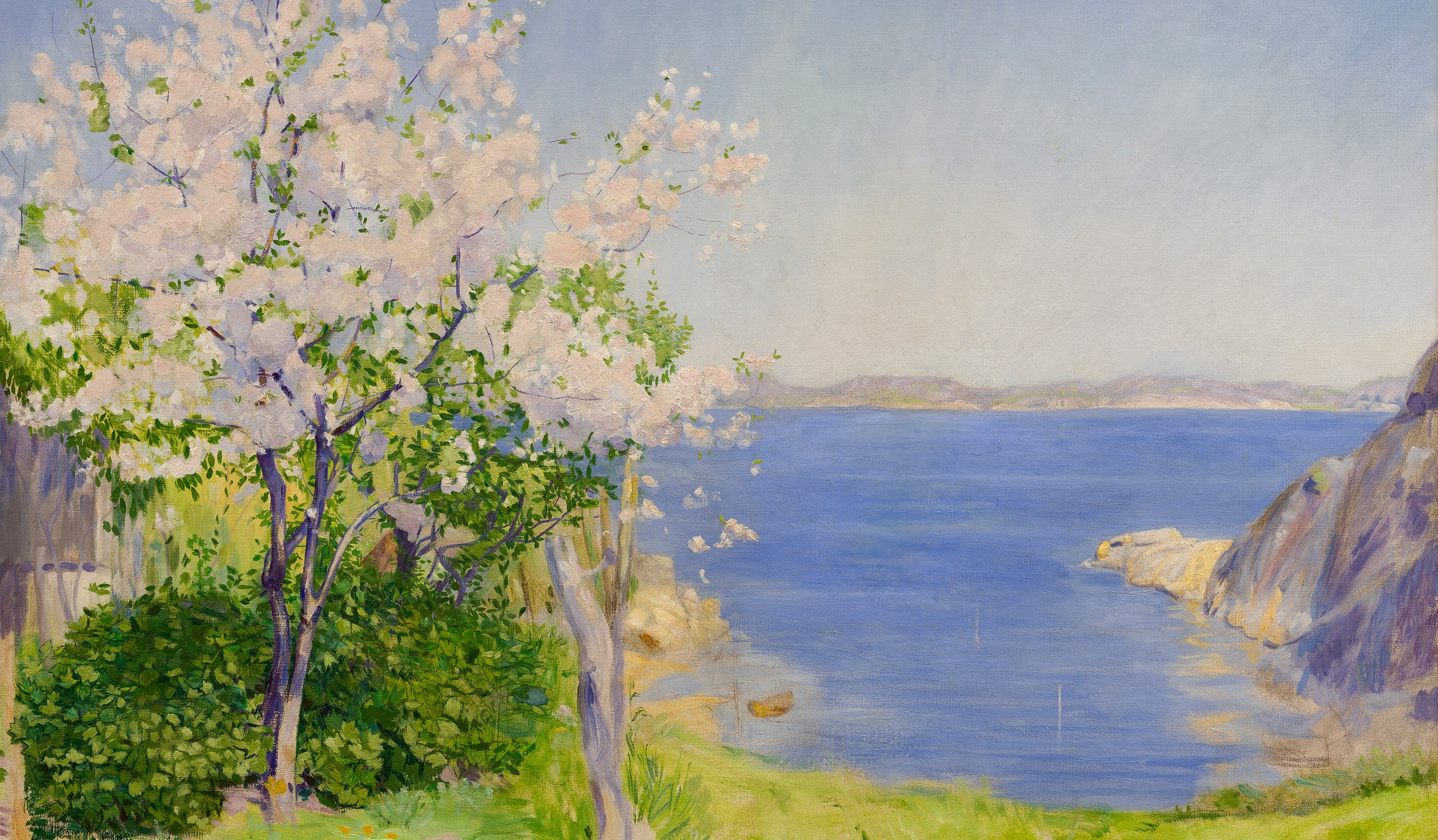 Blomstrende kirsebærtre, Kalviken, Kjerringvik (1907).&nbsp;<span>(+)</span>