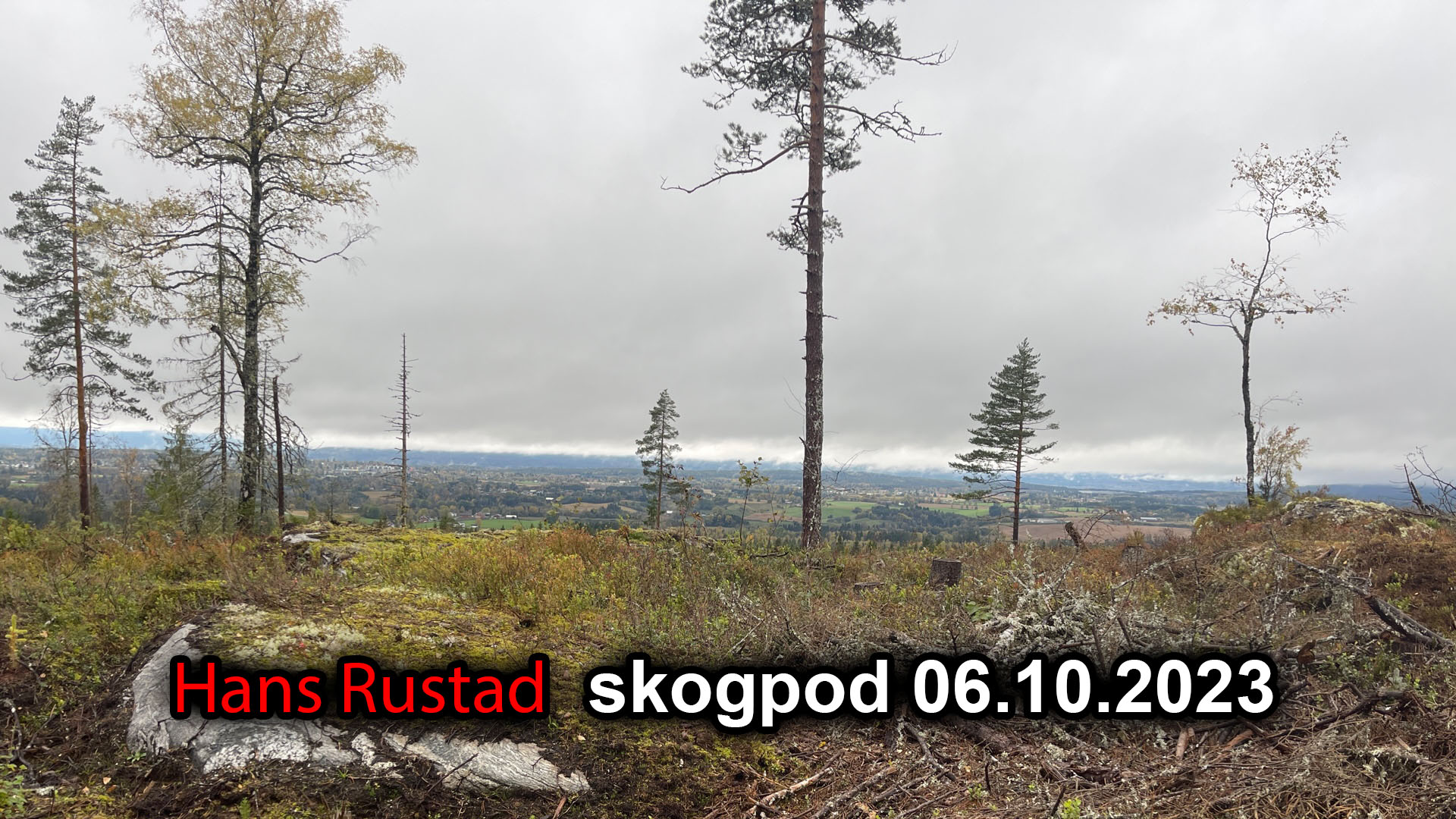 Skogpod 6. oktober 2023&nbsp;<span>(+)</span>