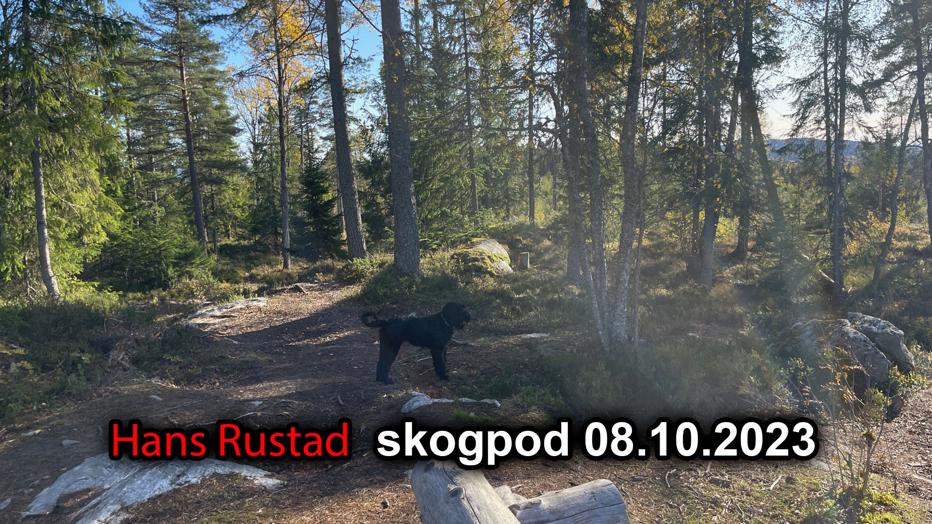 Skogpod 8. oktober 2023&nbsp;<span>(+)</span>