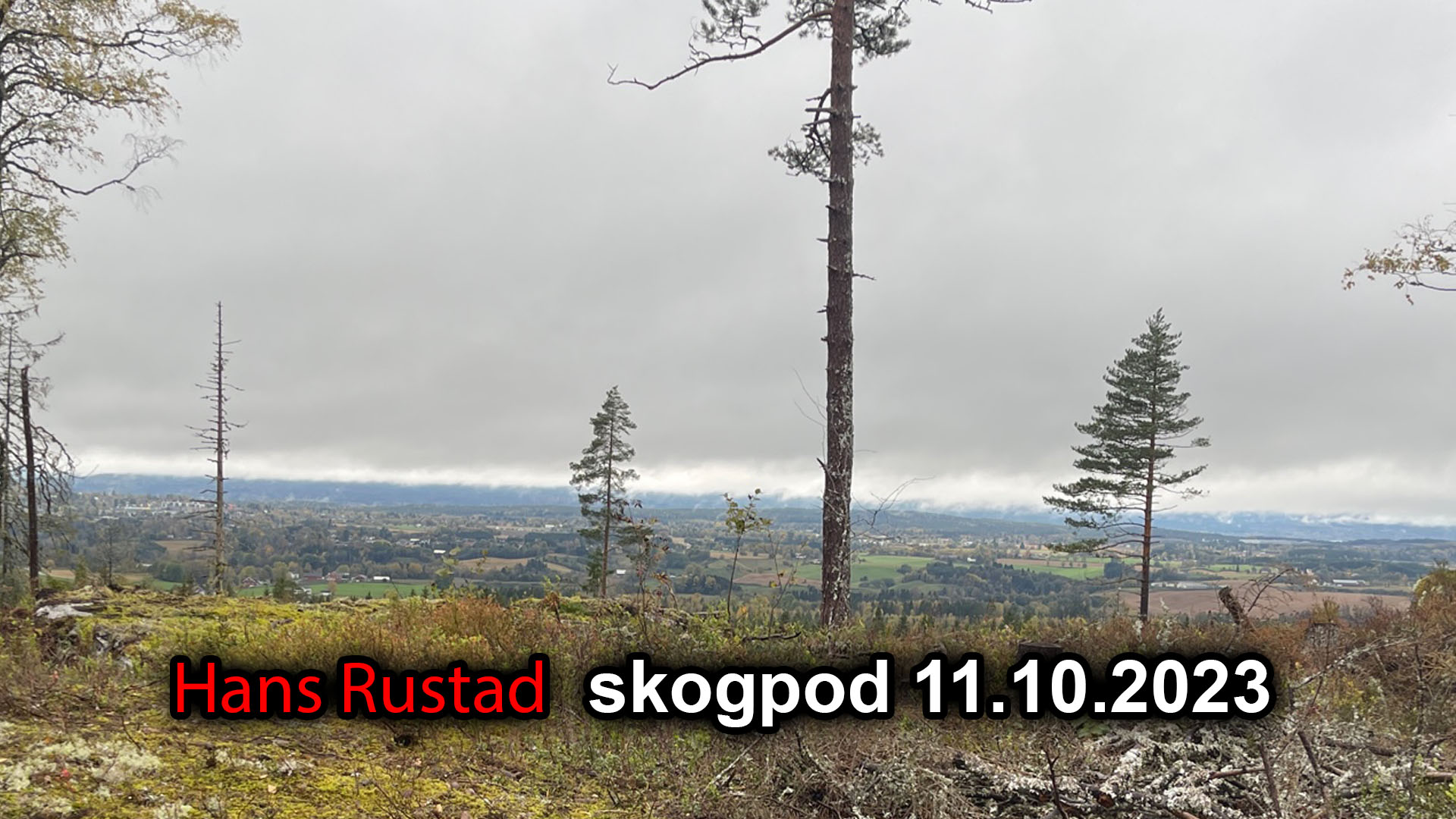 Skogpod 11. oktober 2023&nbsp;<span>(+)</span>