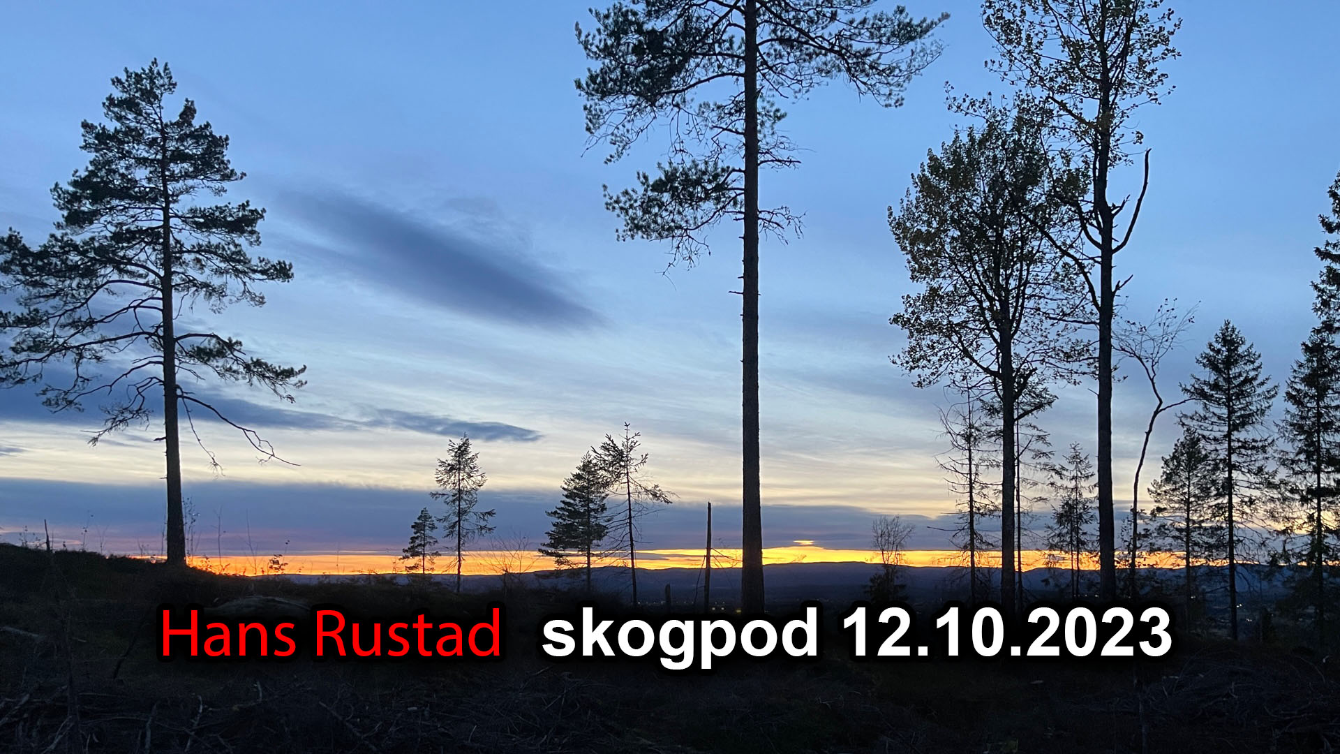Skogpod 12. oktober 2023&nbsp;<span>(+)</span>