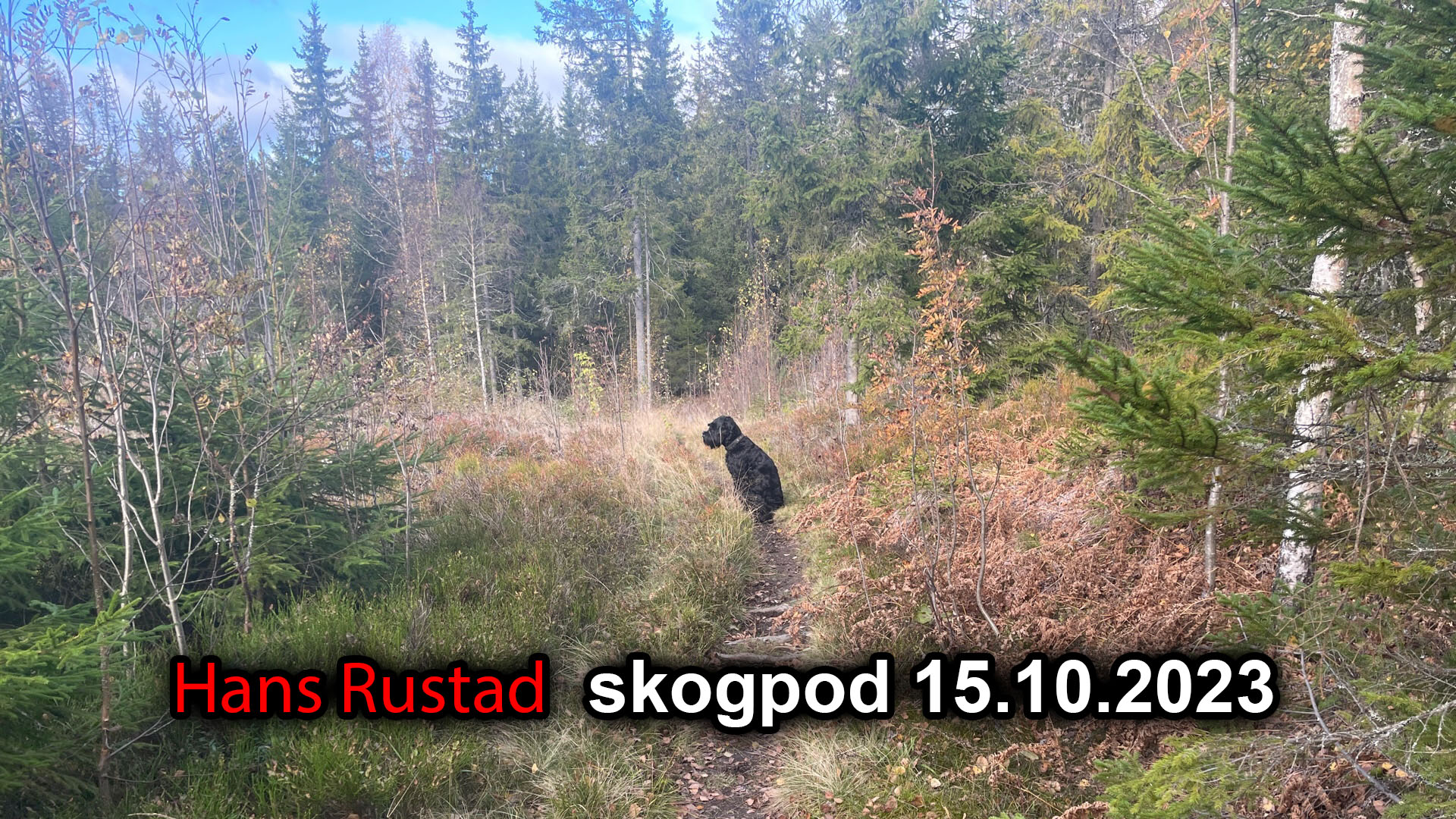 Skogpod 15. oktober 2023: Vi må lære å se forskjell på venn og fiende!&nbsp;<span>(+)</span>