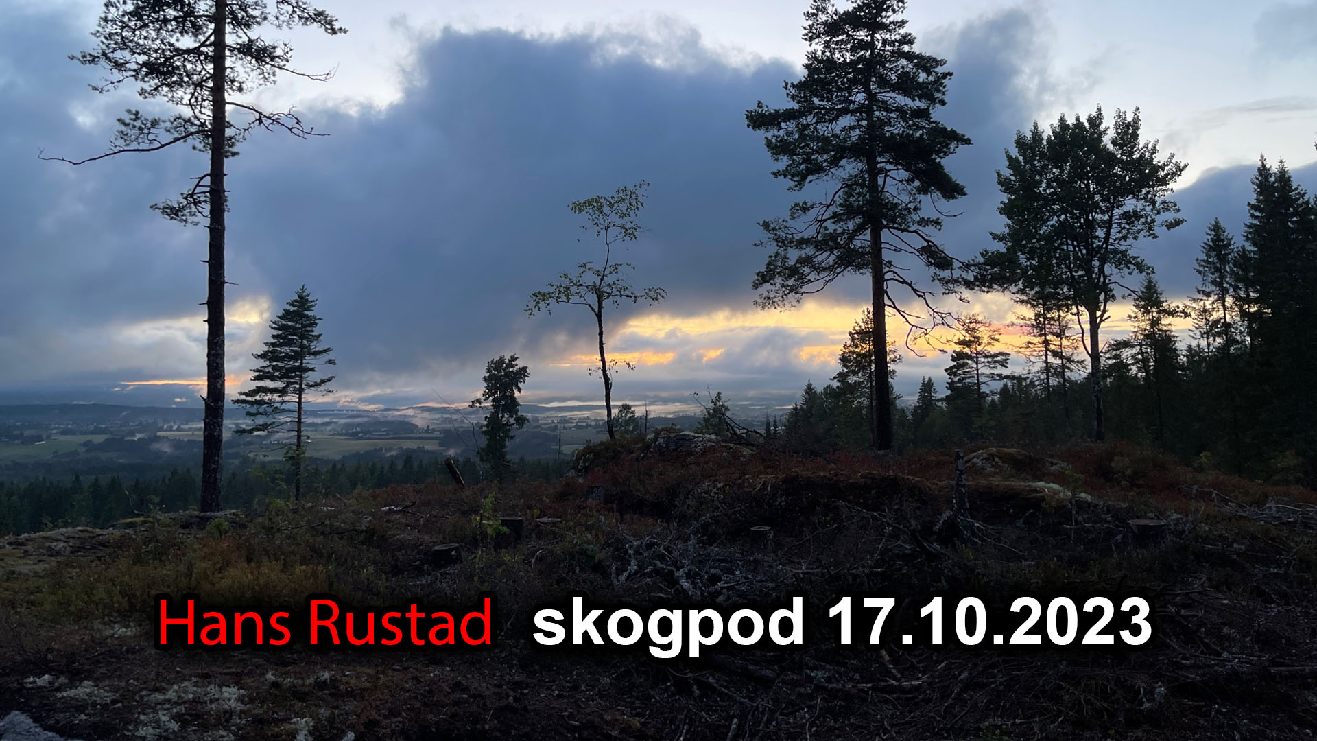 Skogpod 17. oktober 2023&nbsp;<span>(+)</span>