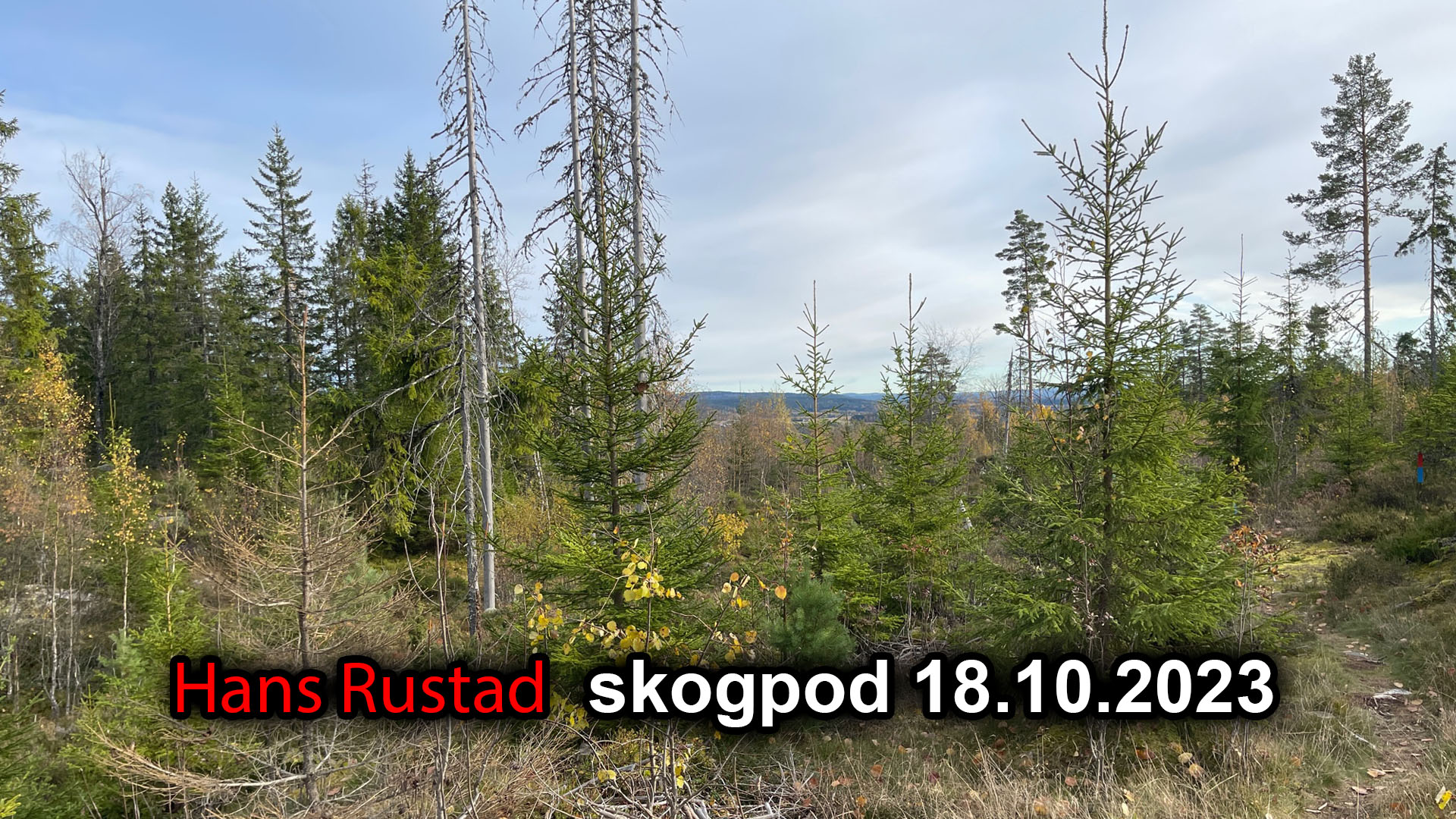 Skogpod 18. oktober 2023&nbsp;<span>(+)</span>