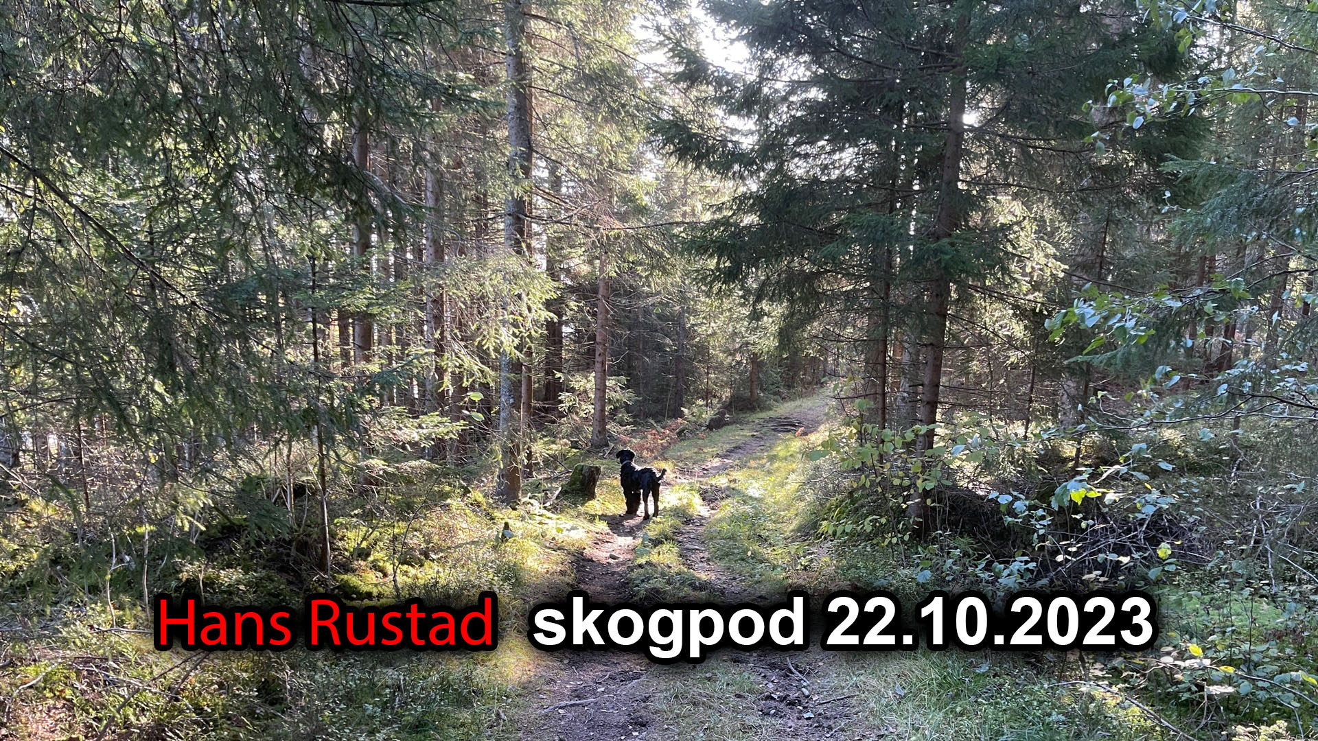 Skogpod 22. oktober 2023&nbsp;<span>(+)</span>