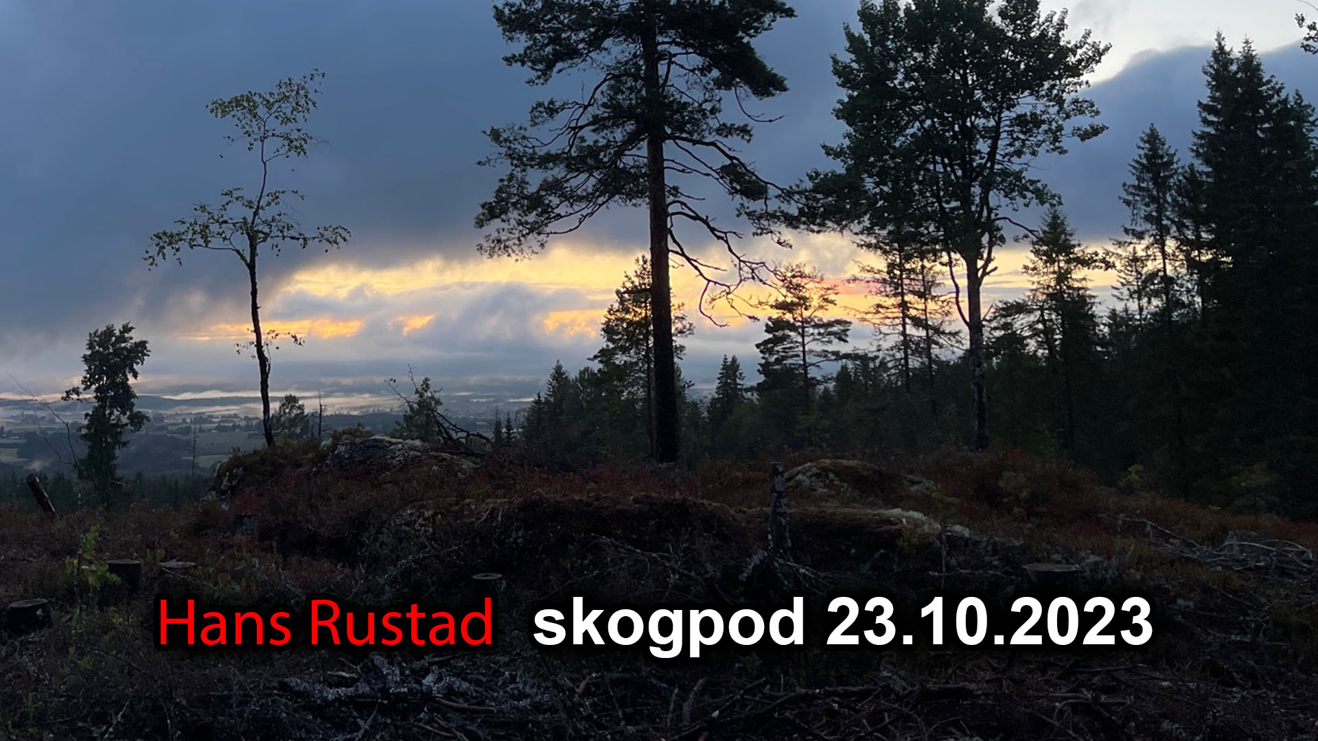 Skogpod 23. oktober 2023&nbsp;<span>(+)</span>
