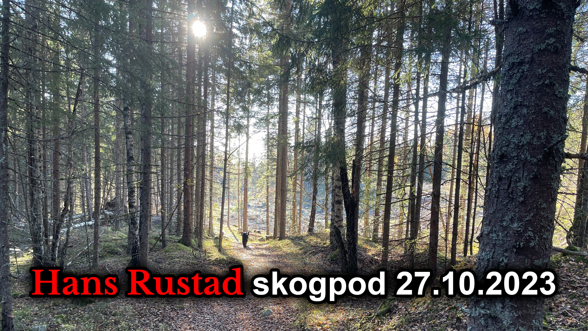Skogpod 27. oktober 2023&nbsp;<span>(+)</span>