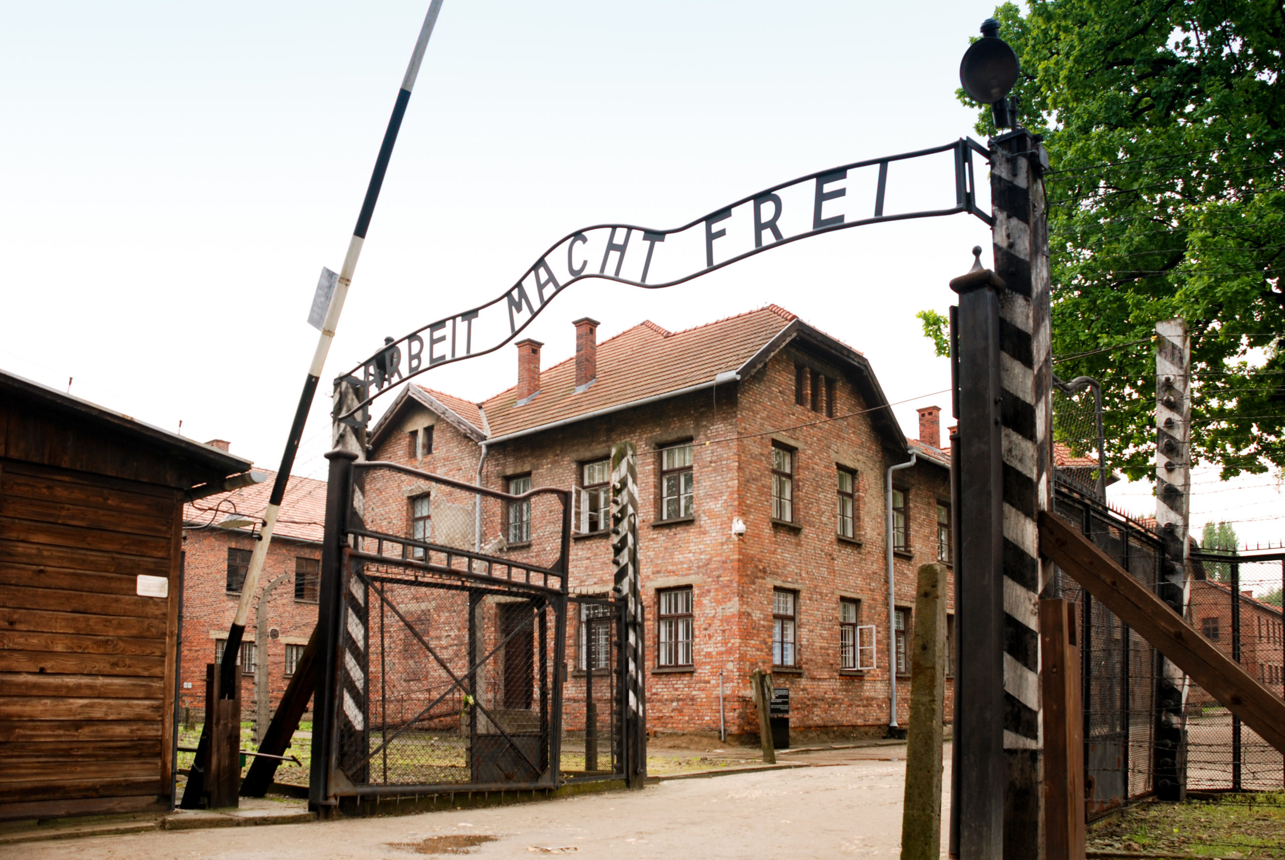 Rødt-politiker trakk seg fra partiet etter Hitler-kommentar&nbsp;<span>(+)</span>