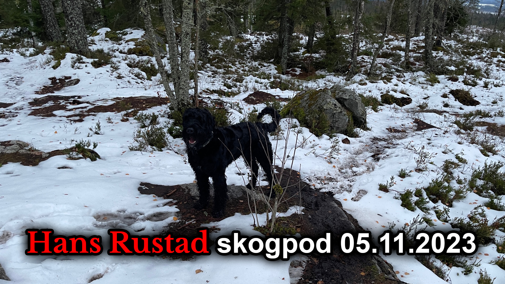 Skogpod 5. november 2023&nbsp;<span>(+)</span>