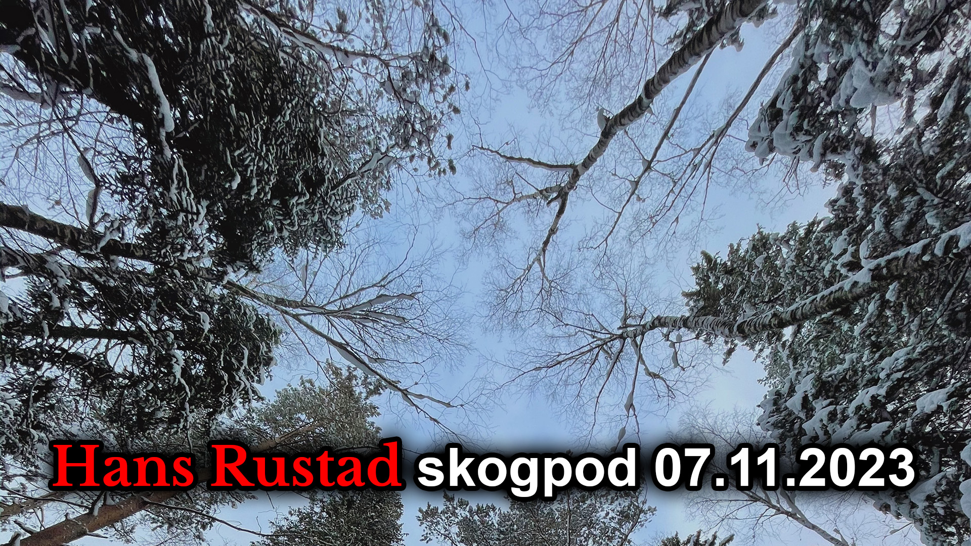 Skogpod 7. november 2023&nbsp;<span>(+)</span>