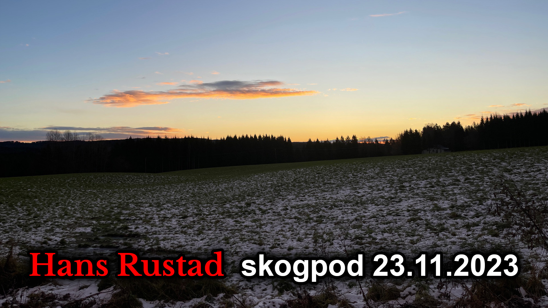 Skogpod 23. november 2023&nbsp;<span>(+)</span>