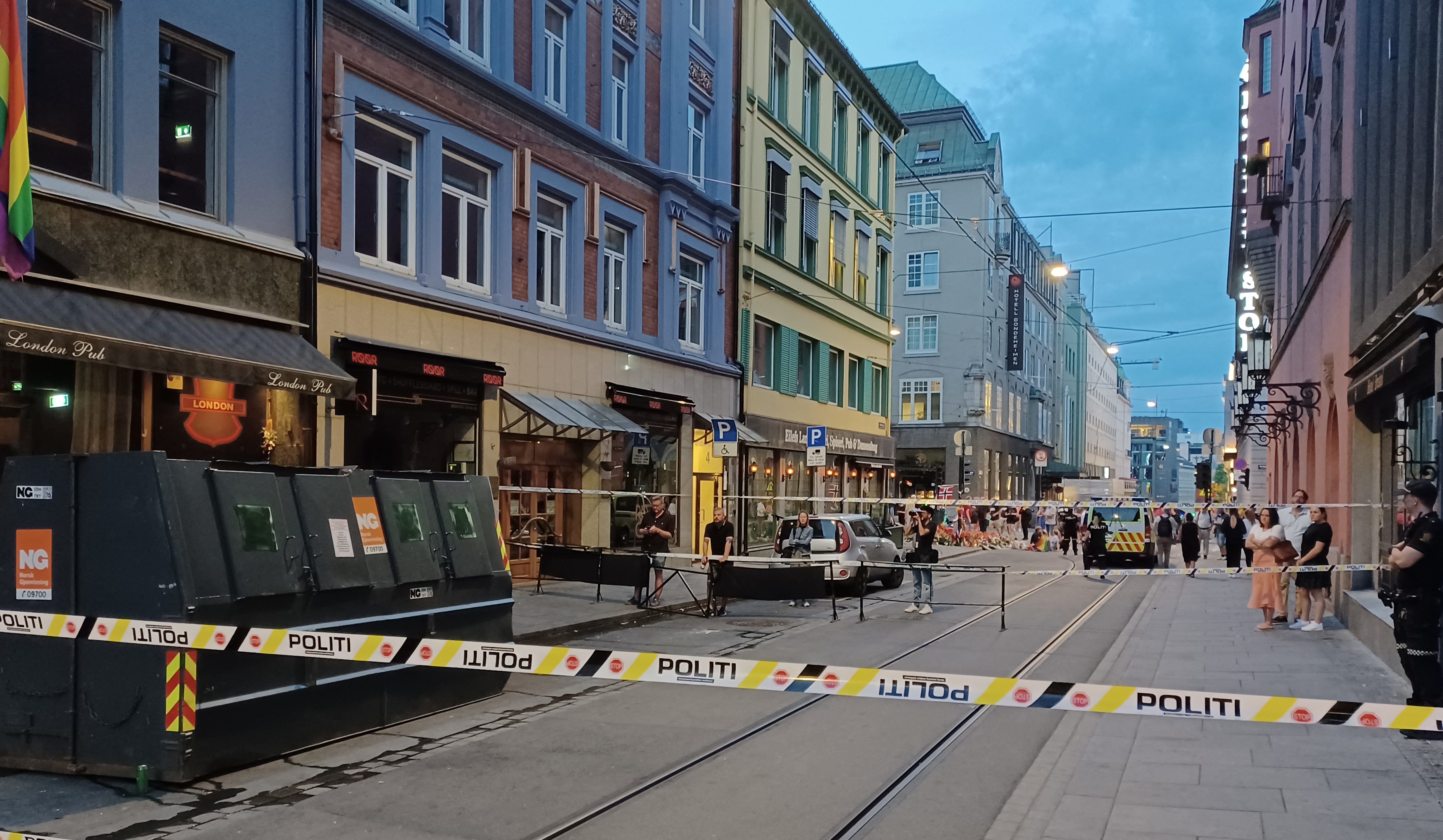 Politiet er overarbeidet og trenger forsterkninger til «trygge» Oslo&nbsp;<span>(+)</span>