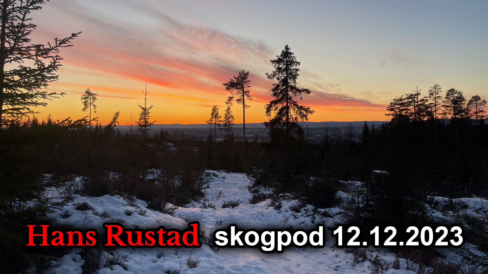 Skogpod 12. desember 2023&nbsp;<span>(+)</span>