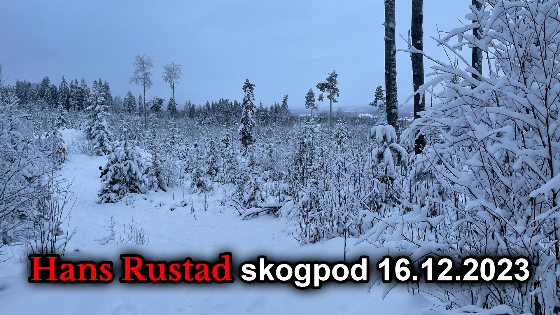 Skogpod 16. desember 2023: Biden - antikristen juleinnvielse&nbsp;<span>(+)</span>