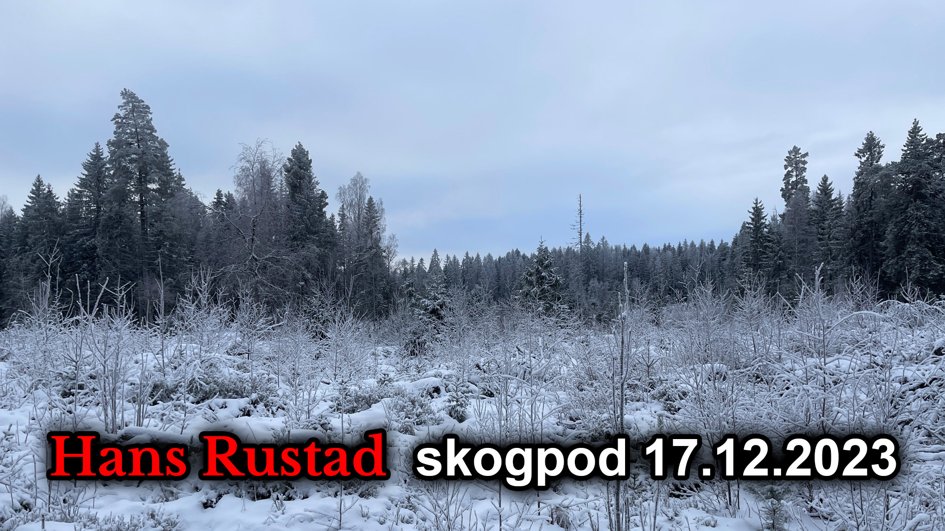 Skogpod 17. desember 2023&nbsp;<span>(+)</span>