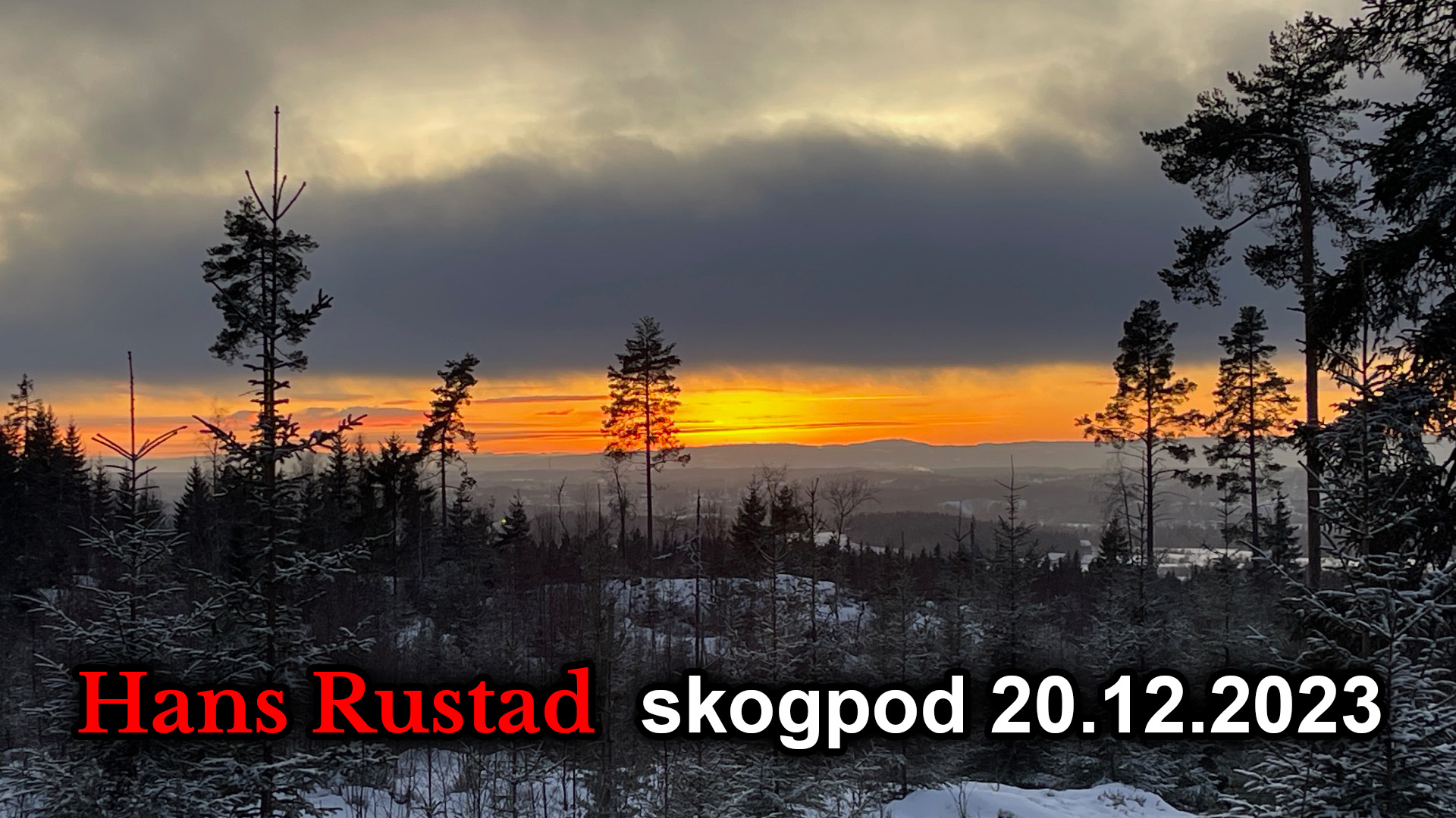 Skogpod 20. desember 2023&nbsp;<span>(+)</span>