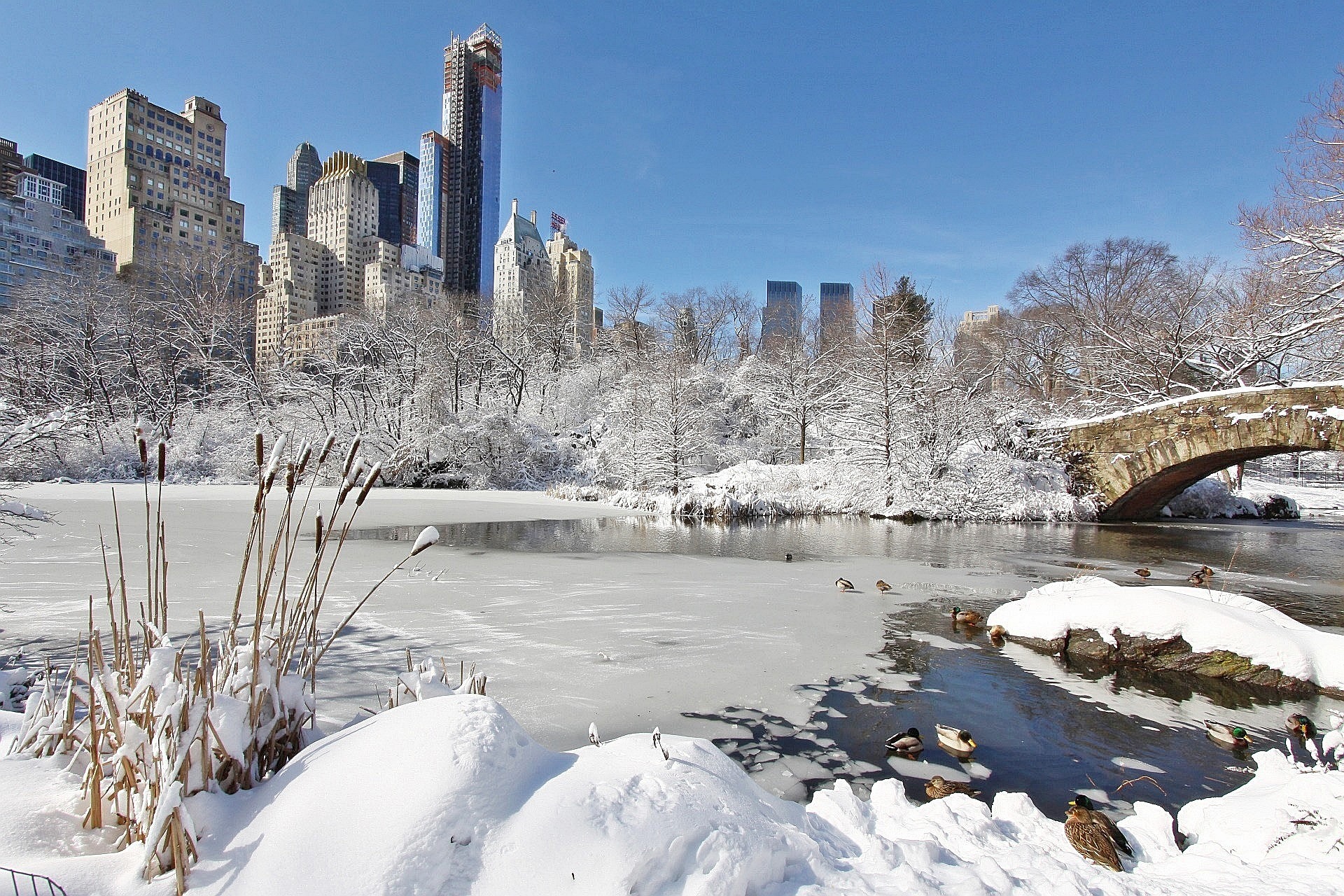 New York nær energi&shy;katastrofe desember i fjor&nbsp;<span>(+)</span>