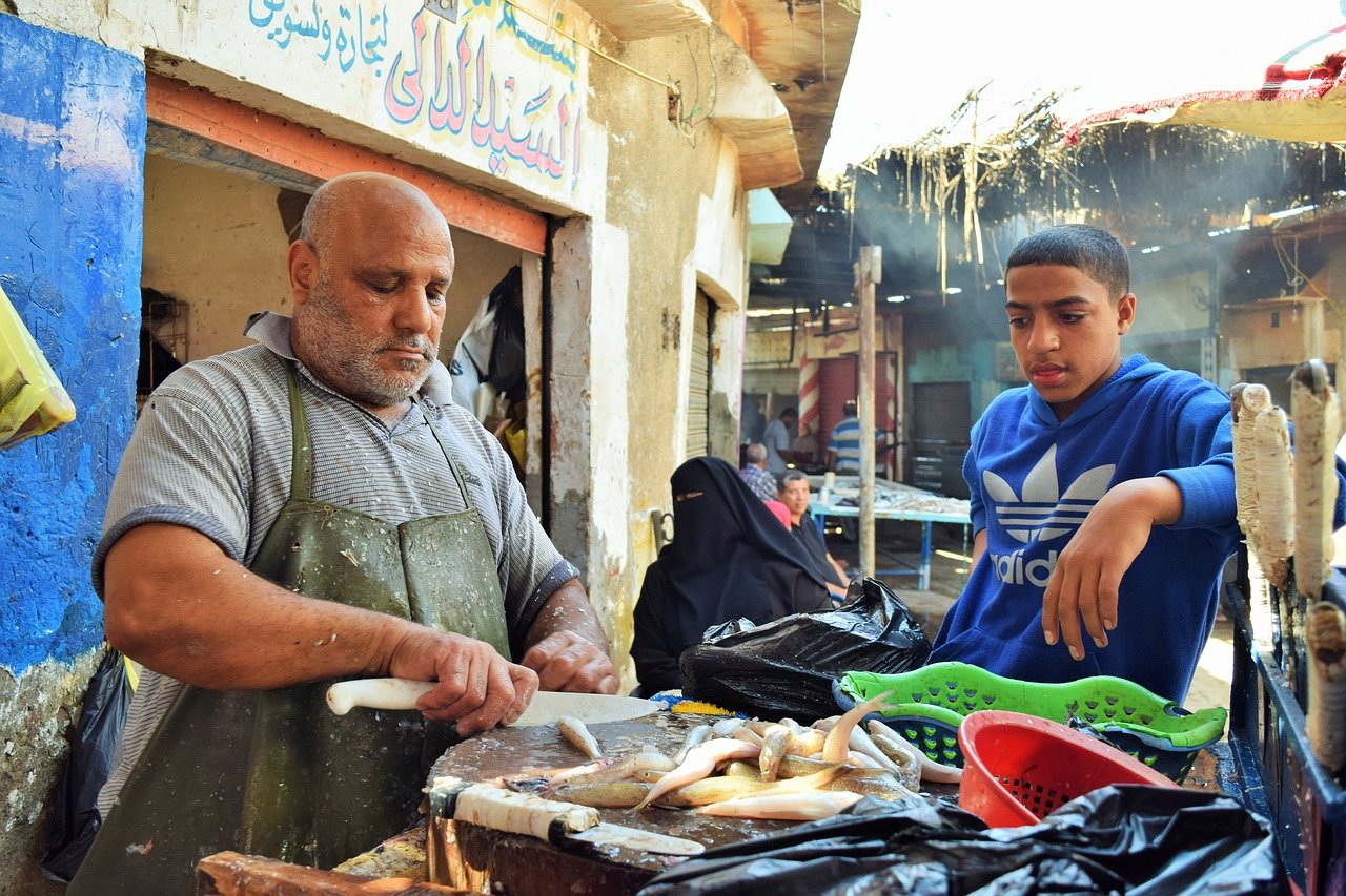Egypt går til valg under høy inflasjon og stor befolkningsvekst&nbsp;<span>(+)</span>