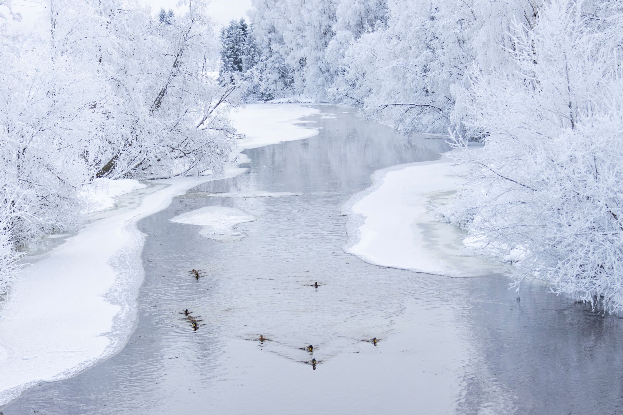 Kald desemberstart i Norge: Under 30 minus flere steder natt til mandag&nbsp;<span>(+)</span>