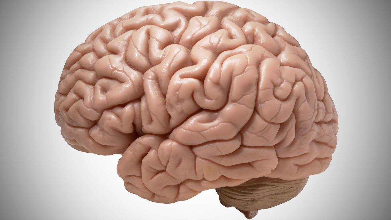 Kunstig intelligens laget av hjerneceller fra mennesker kan gjenkjenne tale&nbsp;<span>(+)</span>